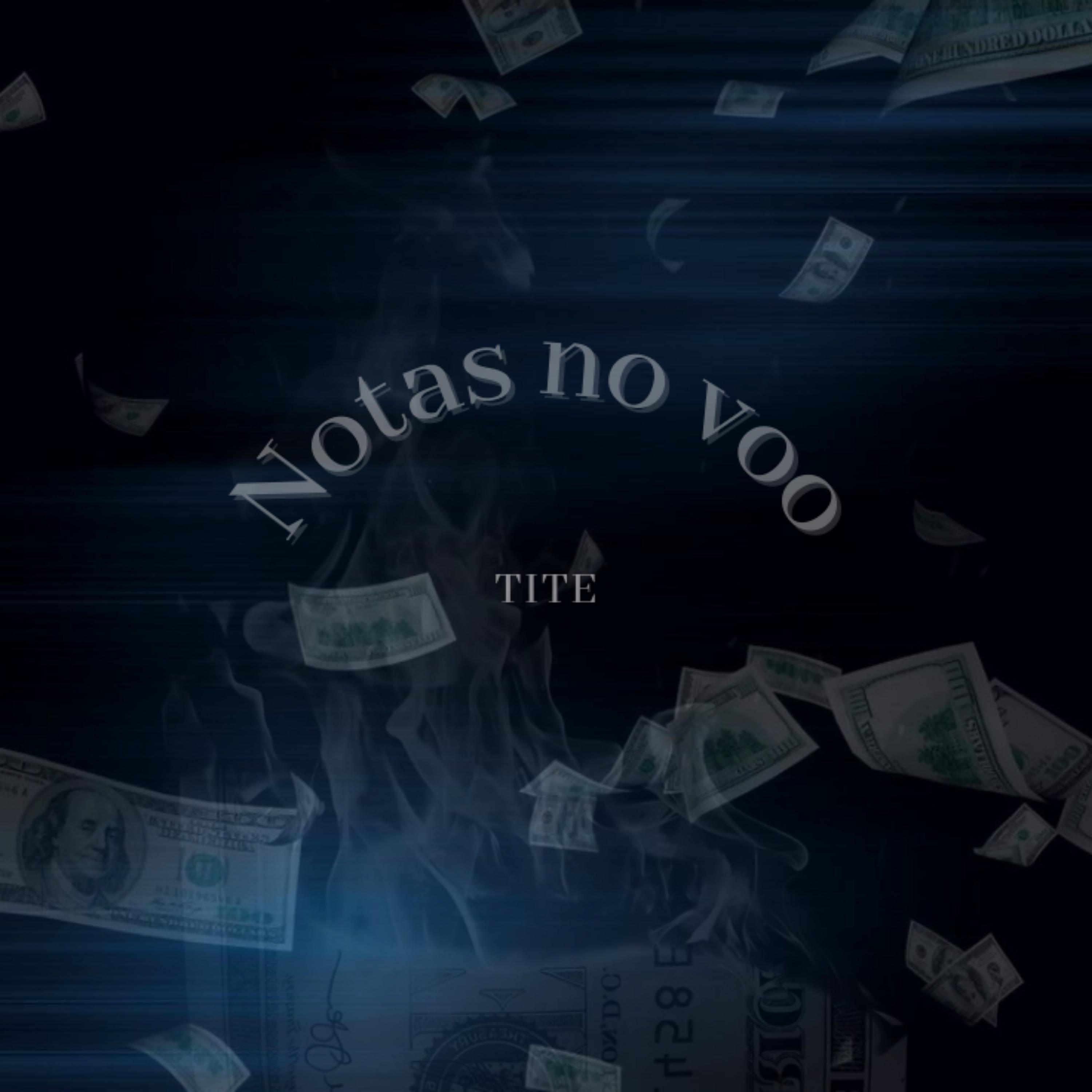 Постер альбома Notas no Voo