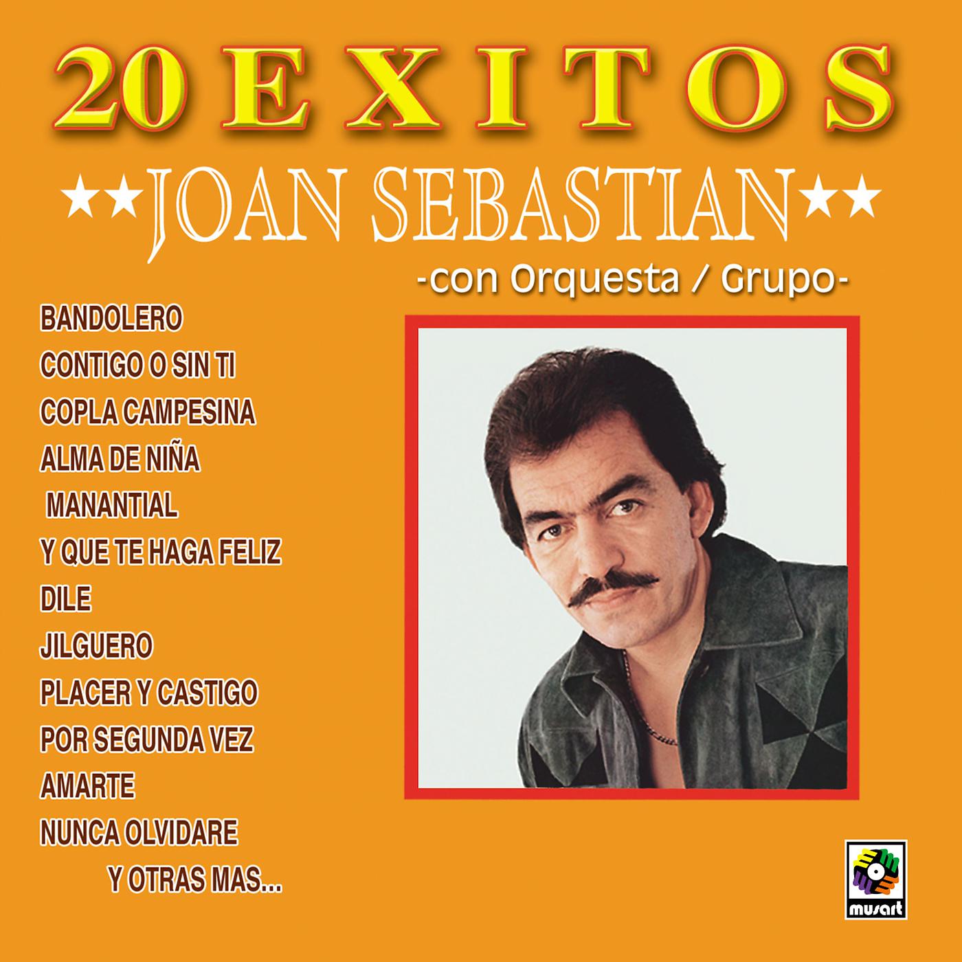 Постер альбома 20 Éxitos Con Orquesta/Grupo