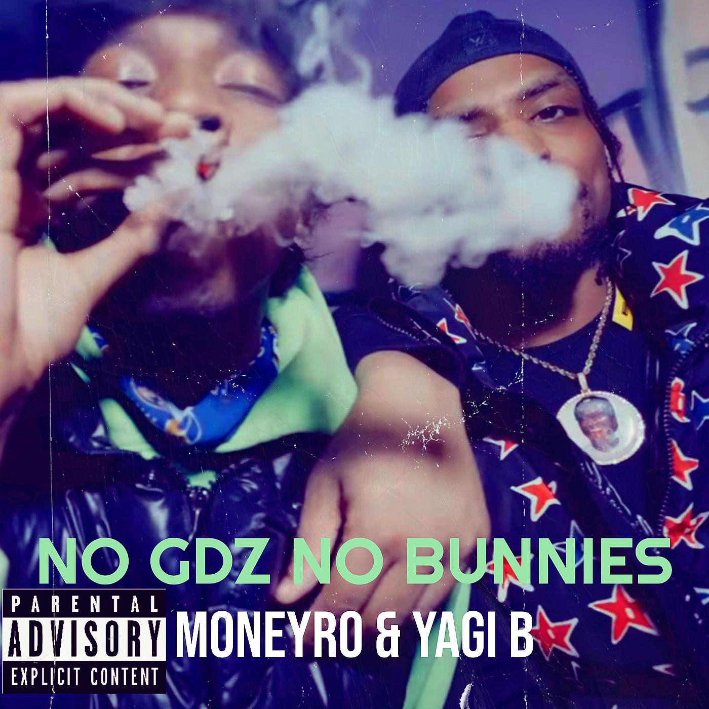 Постер альбома No Gdz No Bunnies