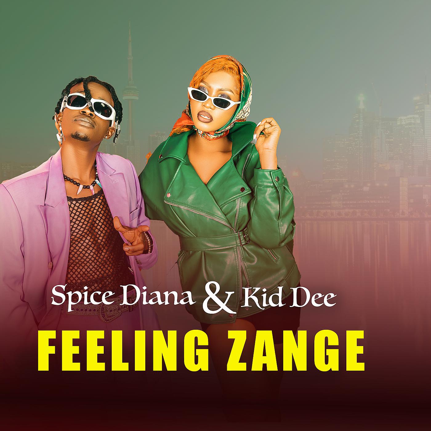 Постер альбома Feeling Zange