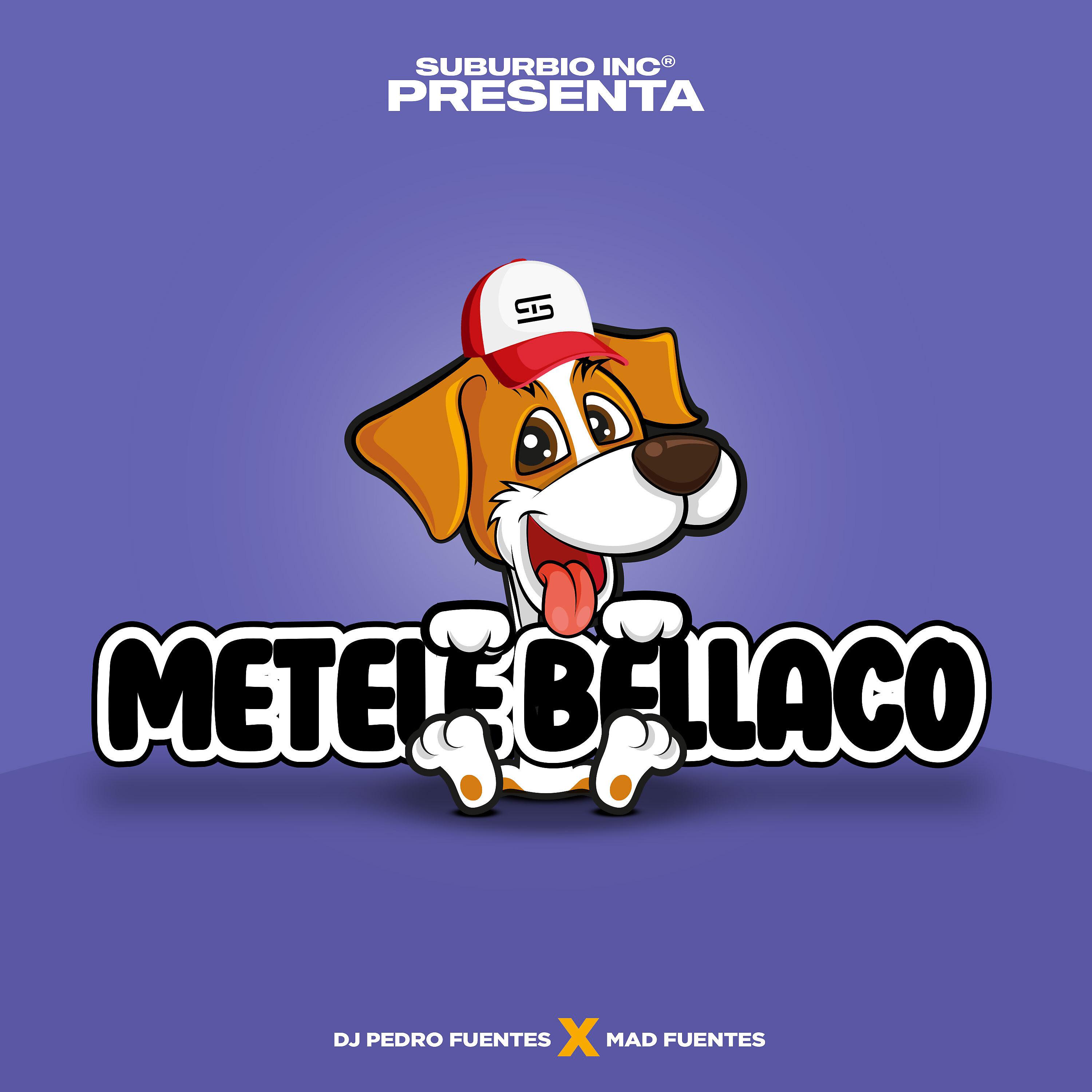Постер альбома Metele Bellaco