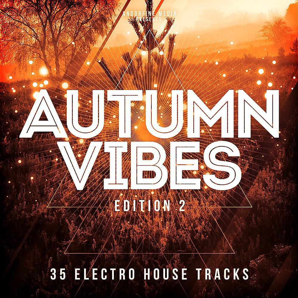 Постер альбома Autumn Vibes - Edition 2