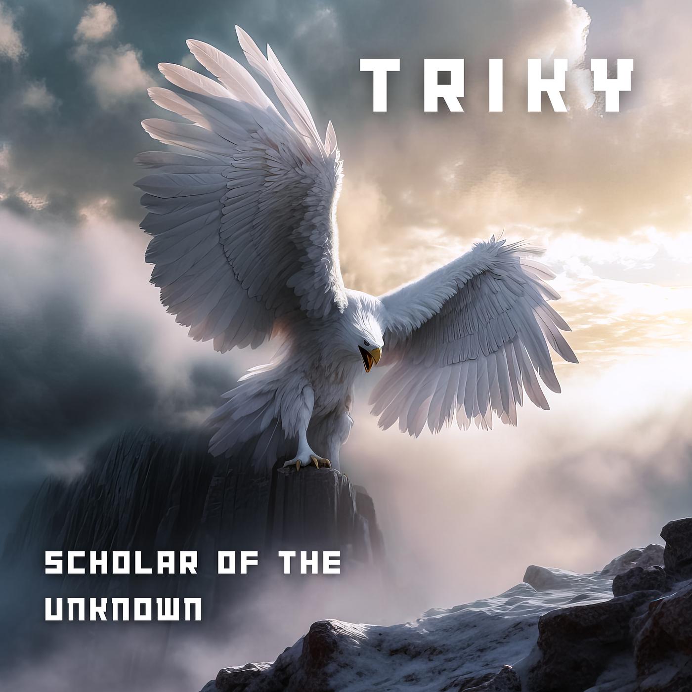 Постер альбома Scholar of the Unknown