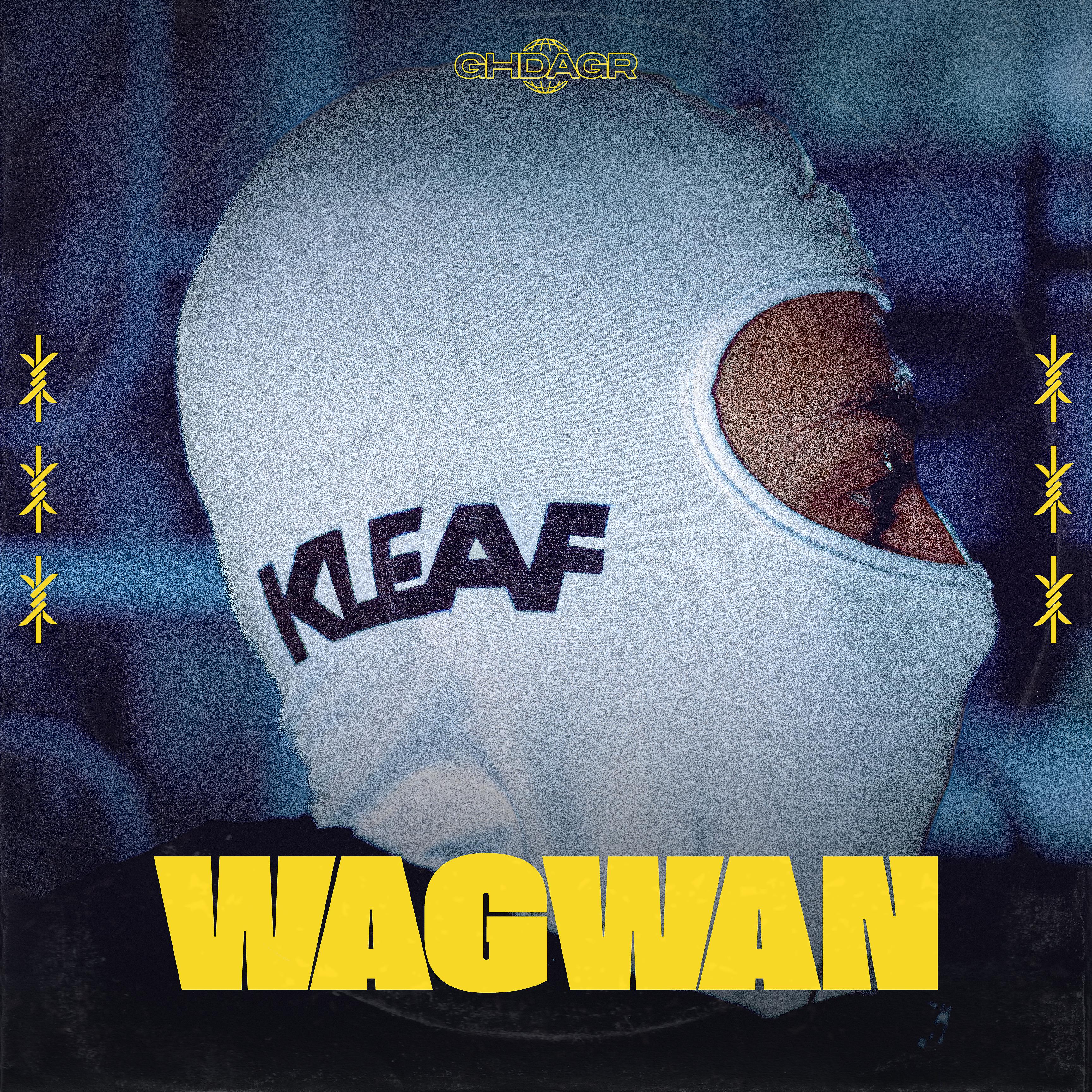 Постер альбома Wagwan