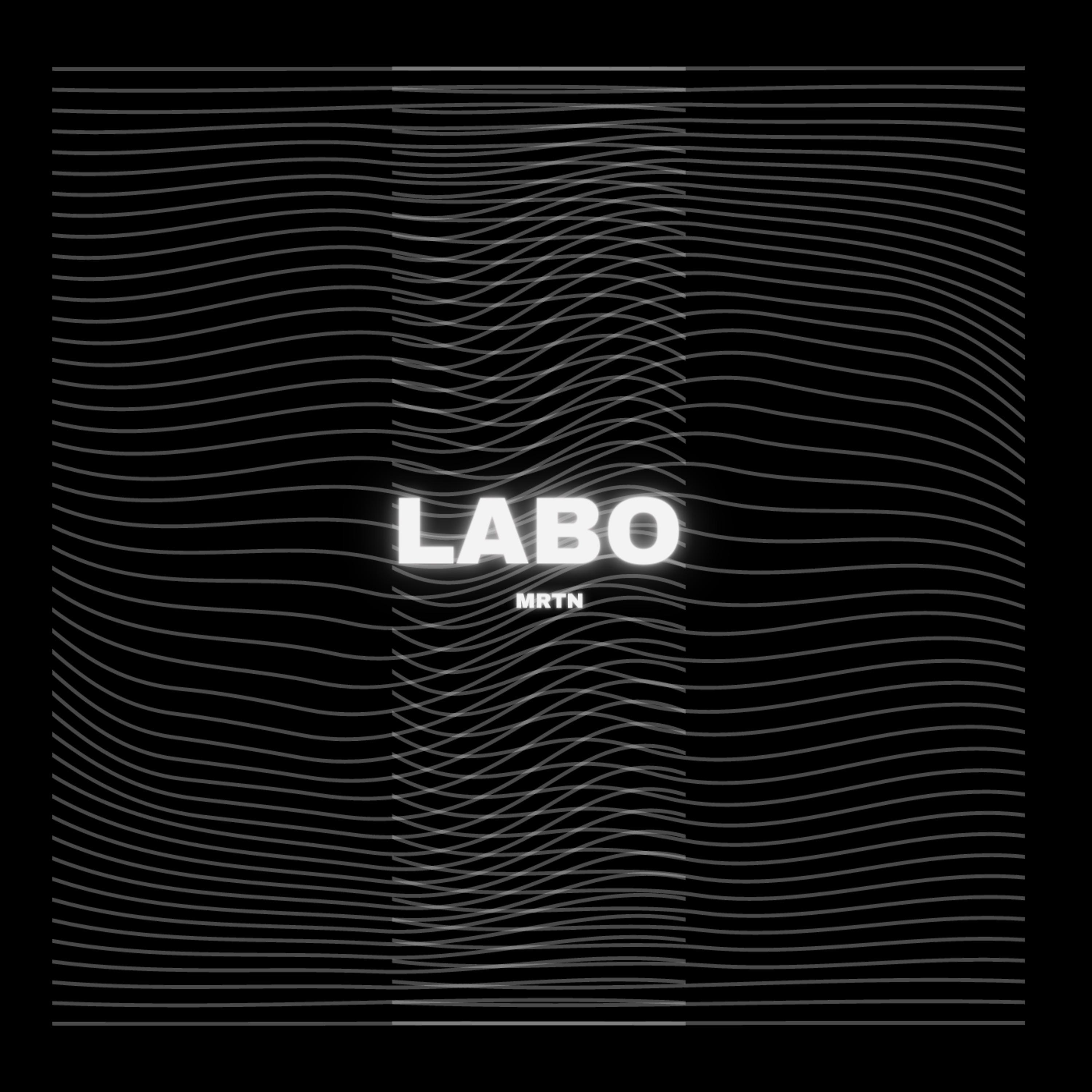 Постер альбома Labo