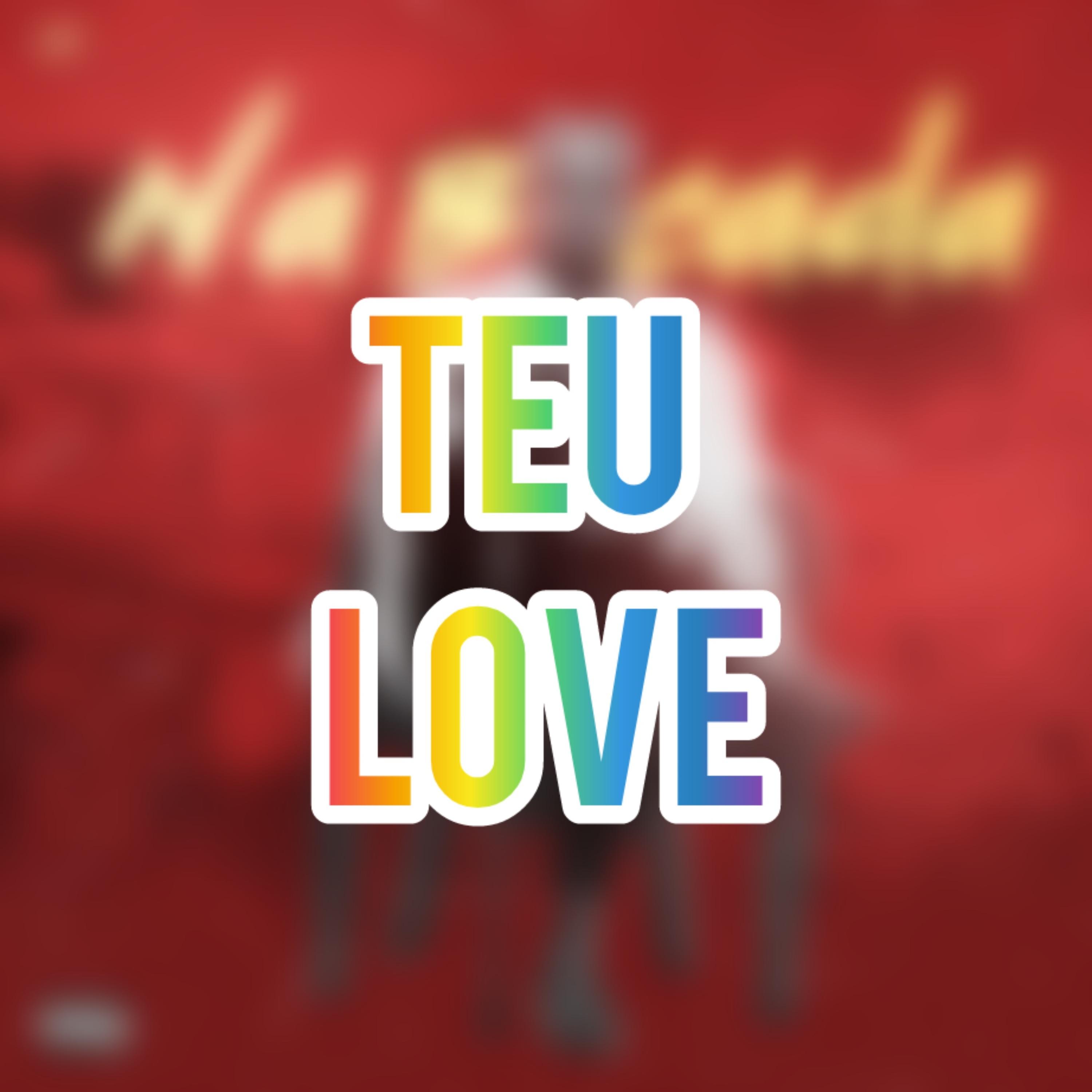Постер альбома Teu Love