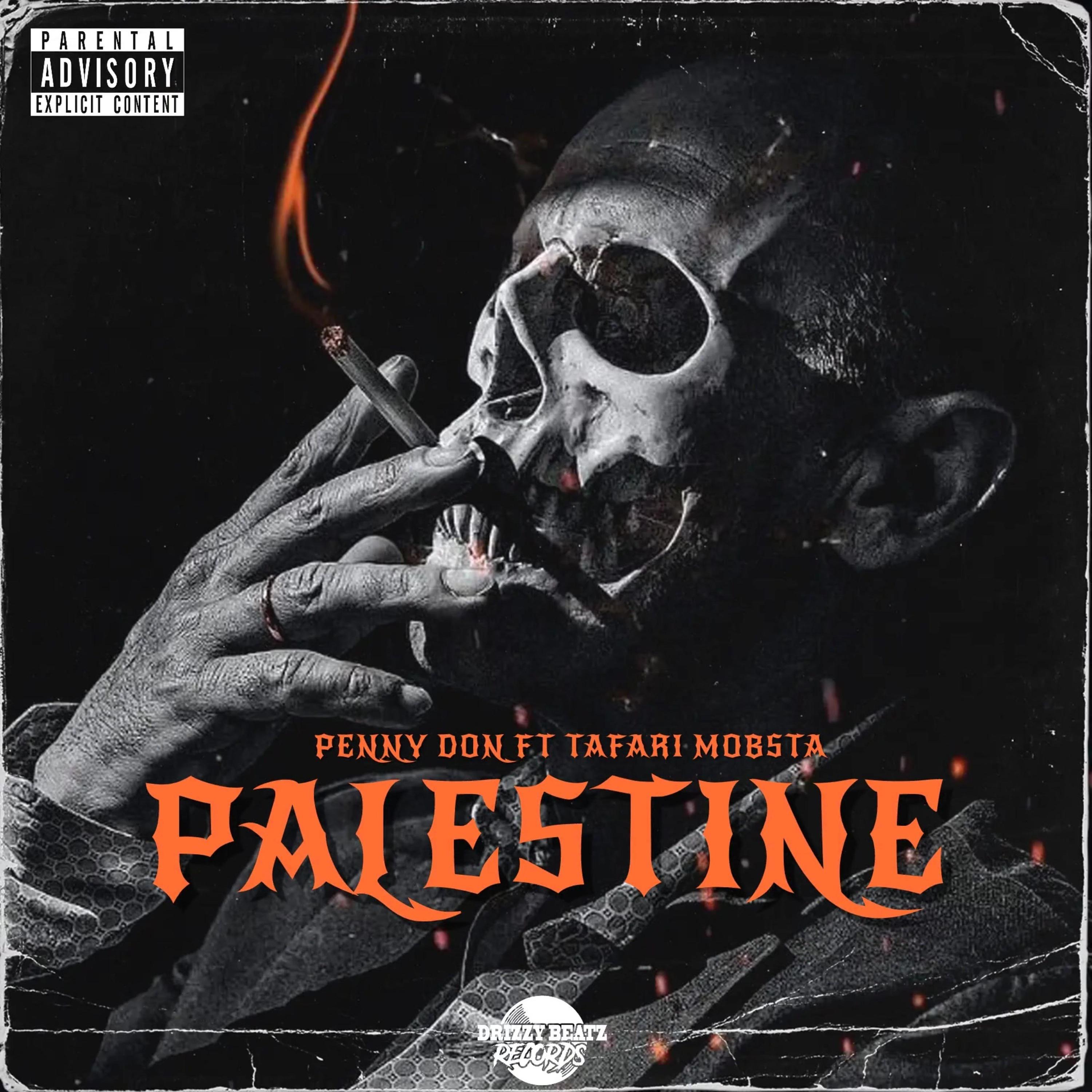 Постер альбома Palestine