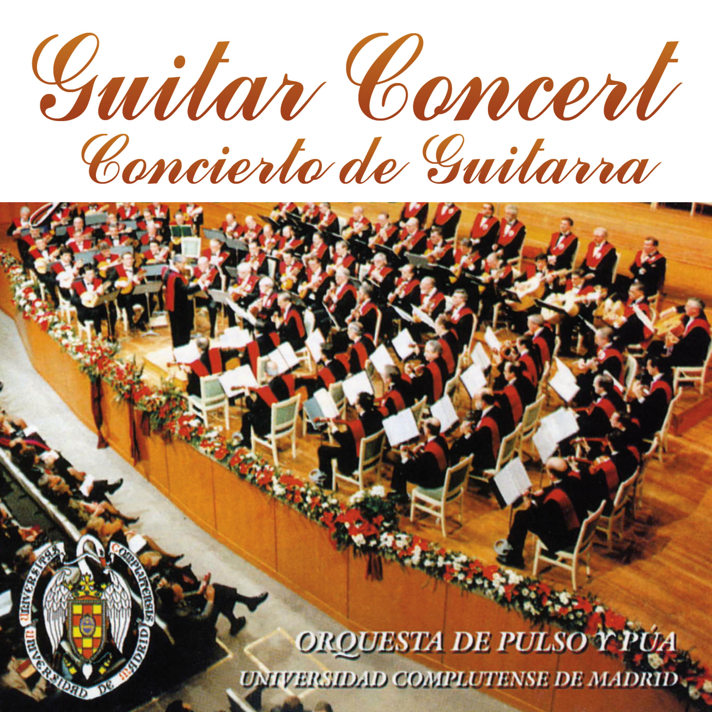 Постер альбома Guitar Concert, Concierto de Guitarra