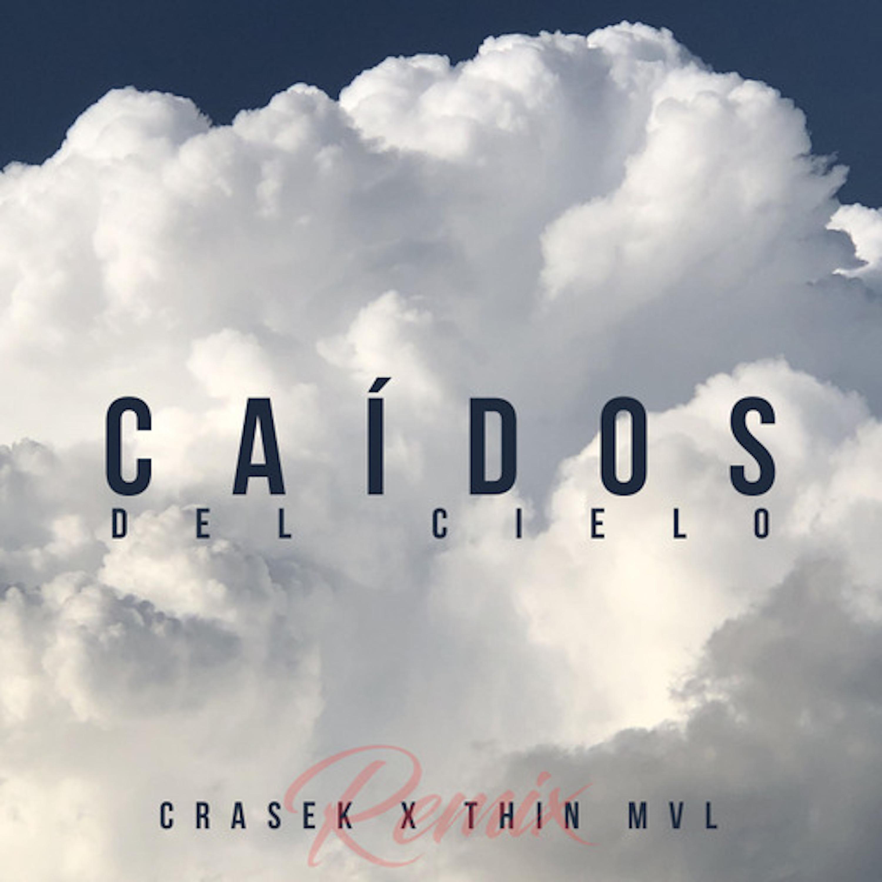 Постер альбома Caídos del Cielo (Remix)