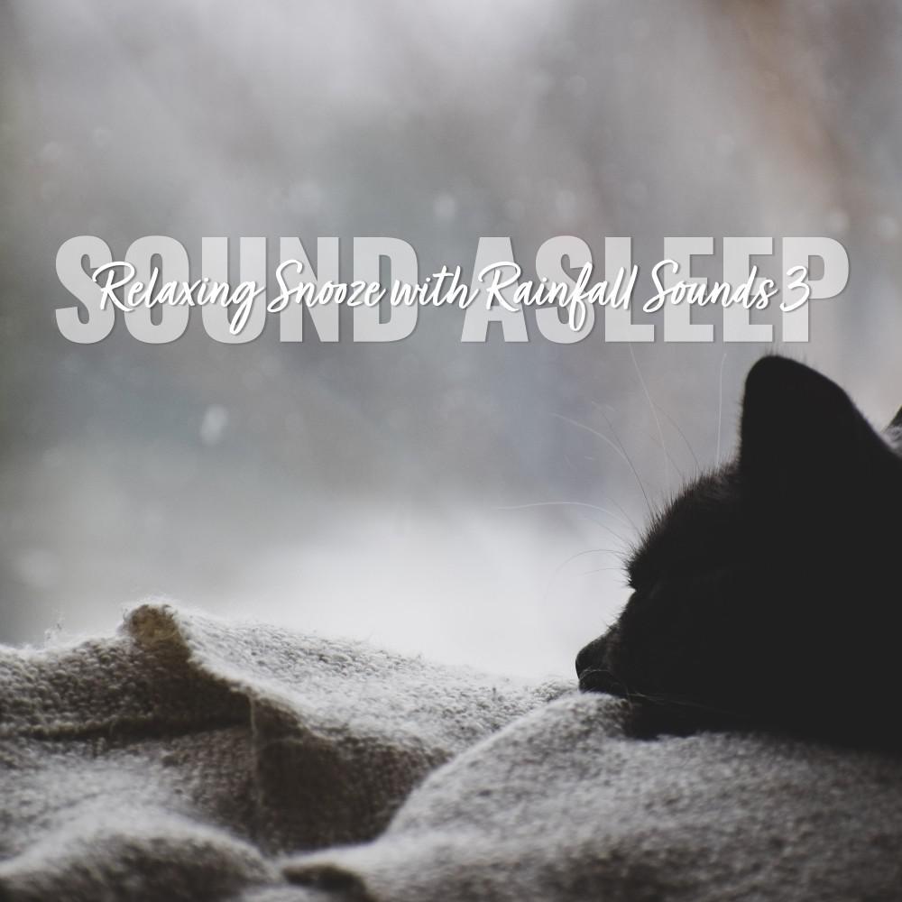 Постер альбома Sound Asleep: Relaxing Snooze with Rainfall Sounds 3