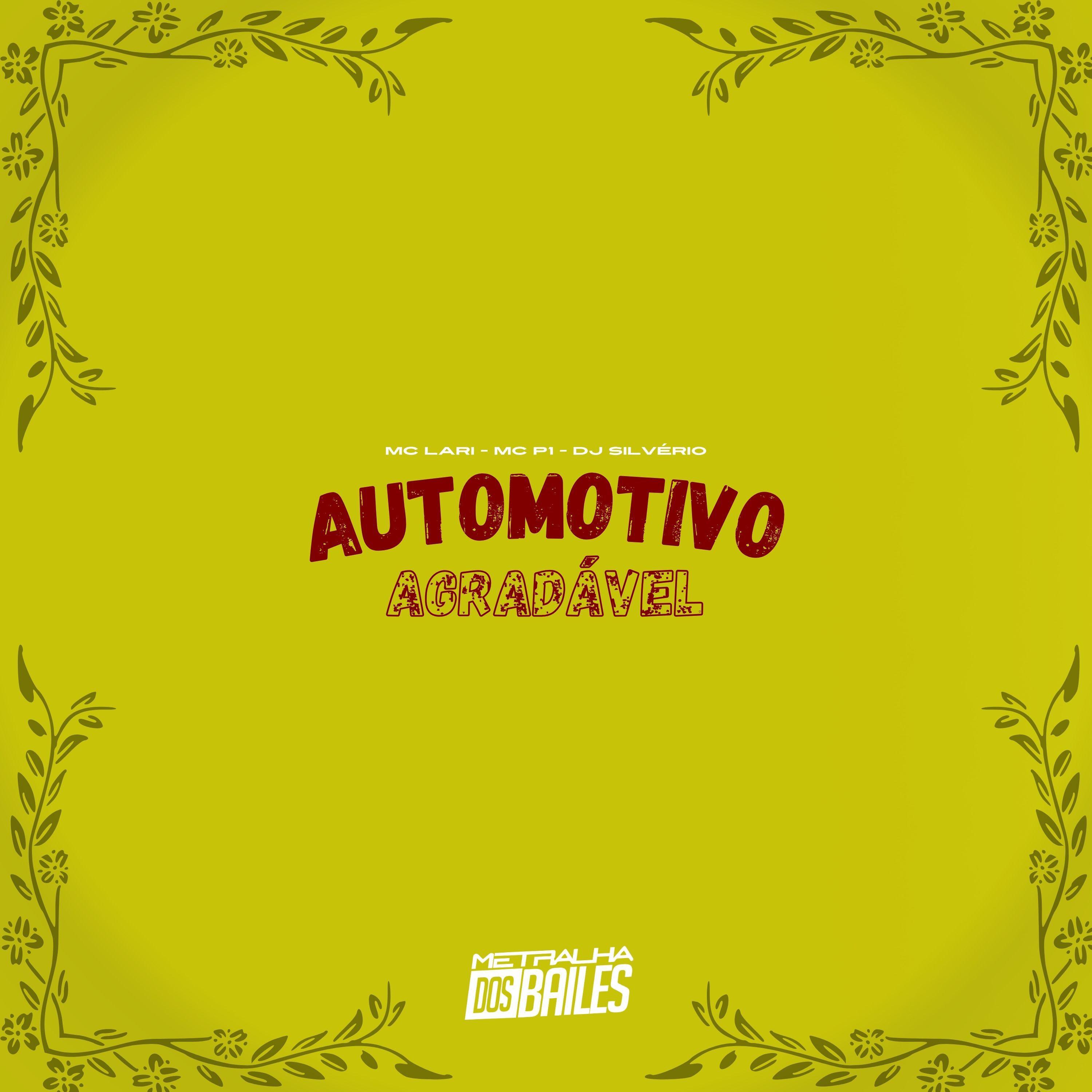 Постер альбома Automotivo Agradável