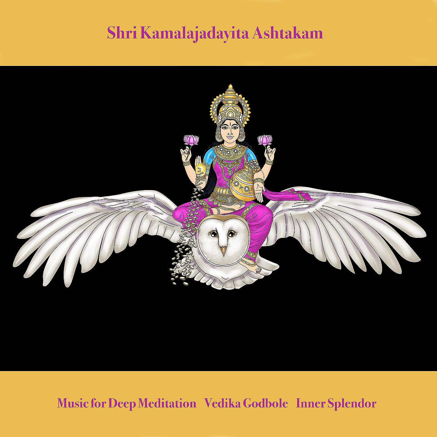 Постер альбома Shri Kamalajadayita Ashtakam