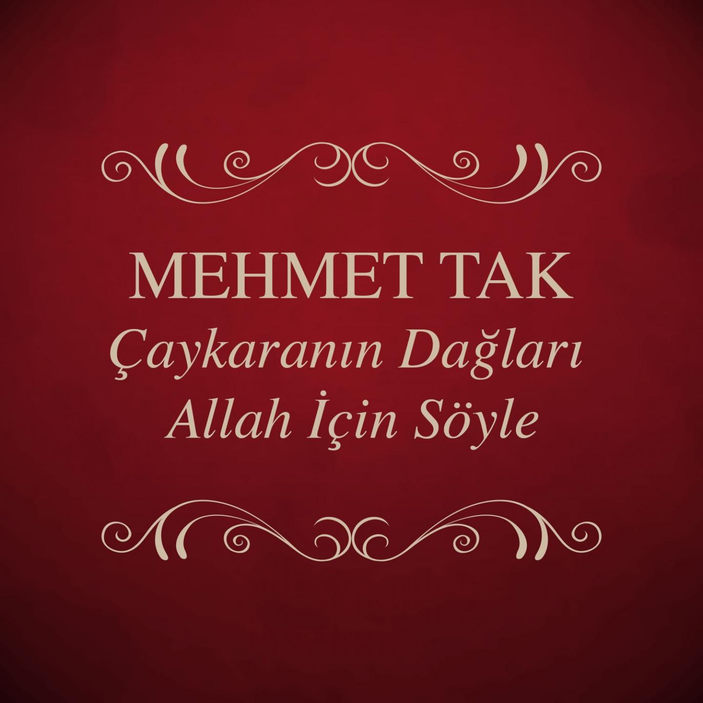 Постер альбома Çaykaranın Dağları / Allah İçin Söyle
