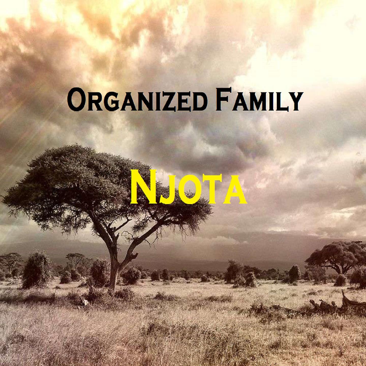 Постер альбома Njota
