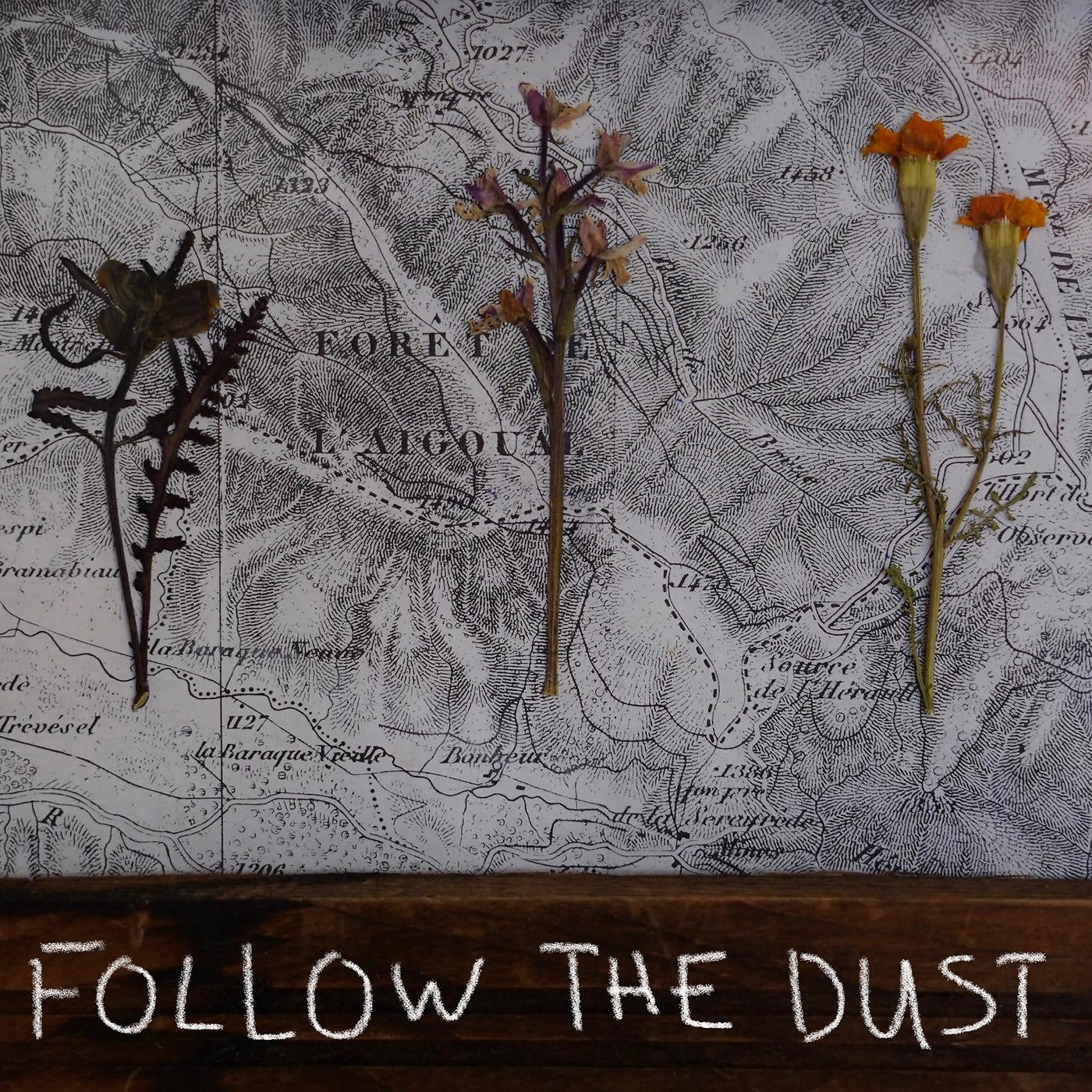 Постер альбома Follow the Dust