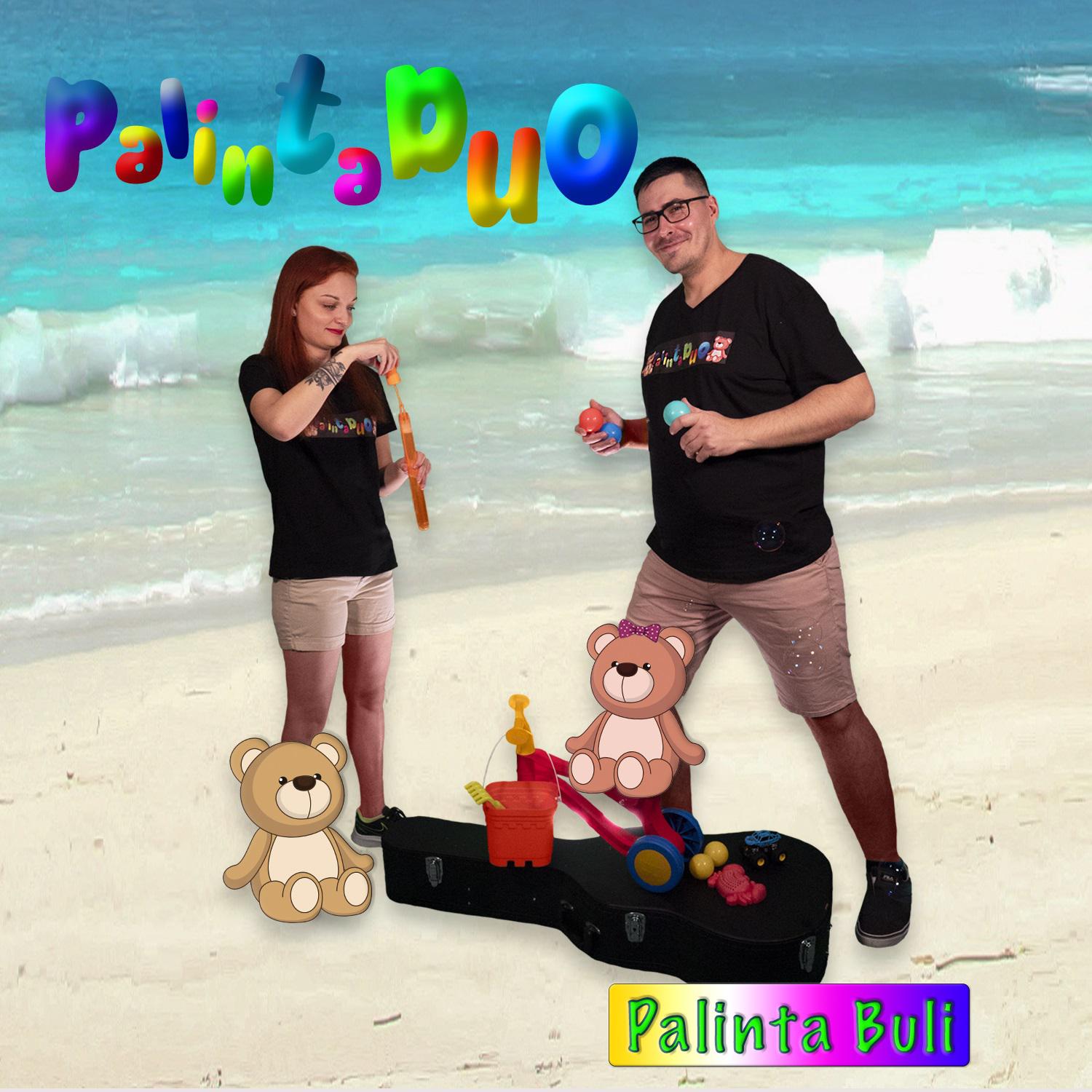 Постер альбома Palinta buli