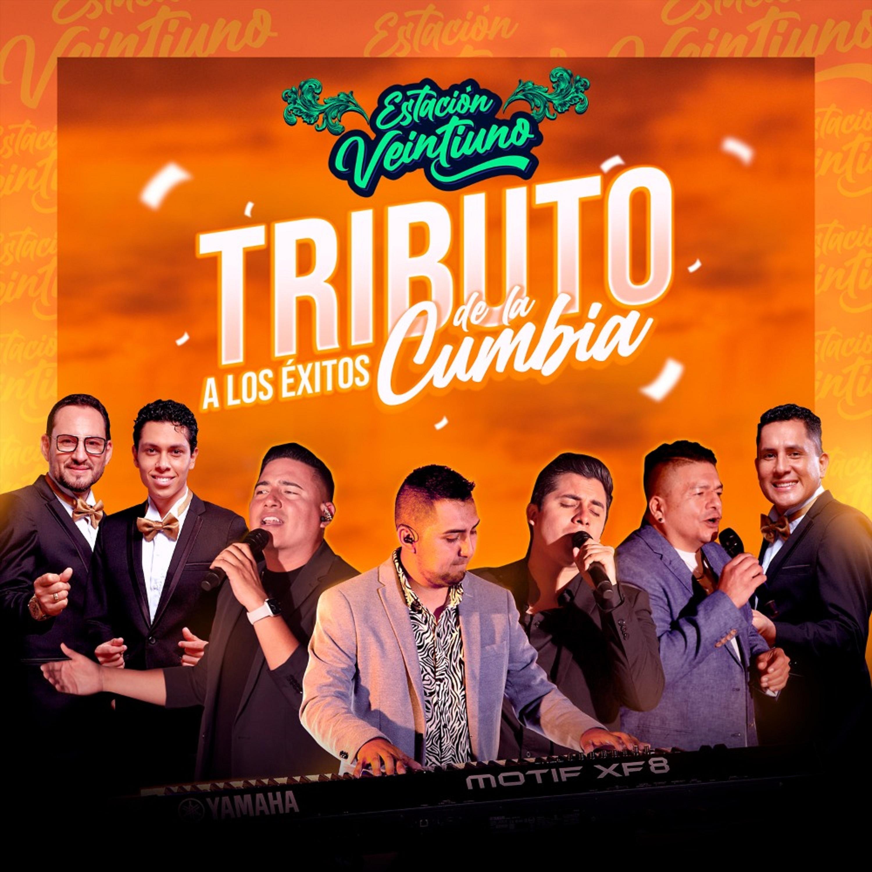 Постер альбома Tributo a los Éxitos de la Cumbia