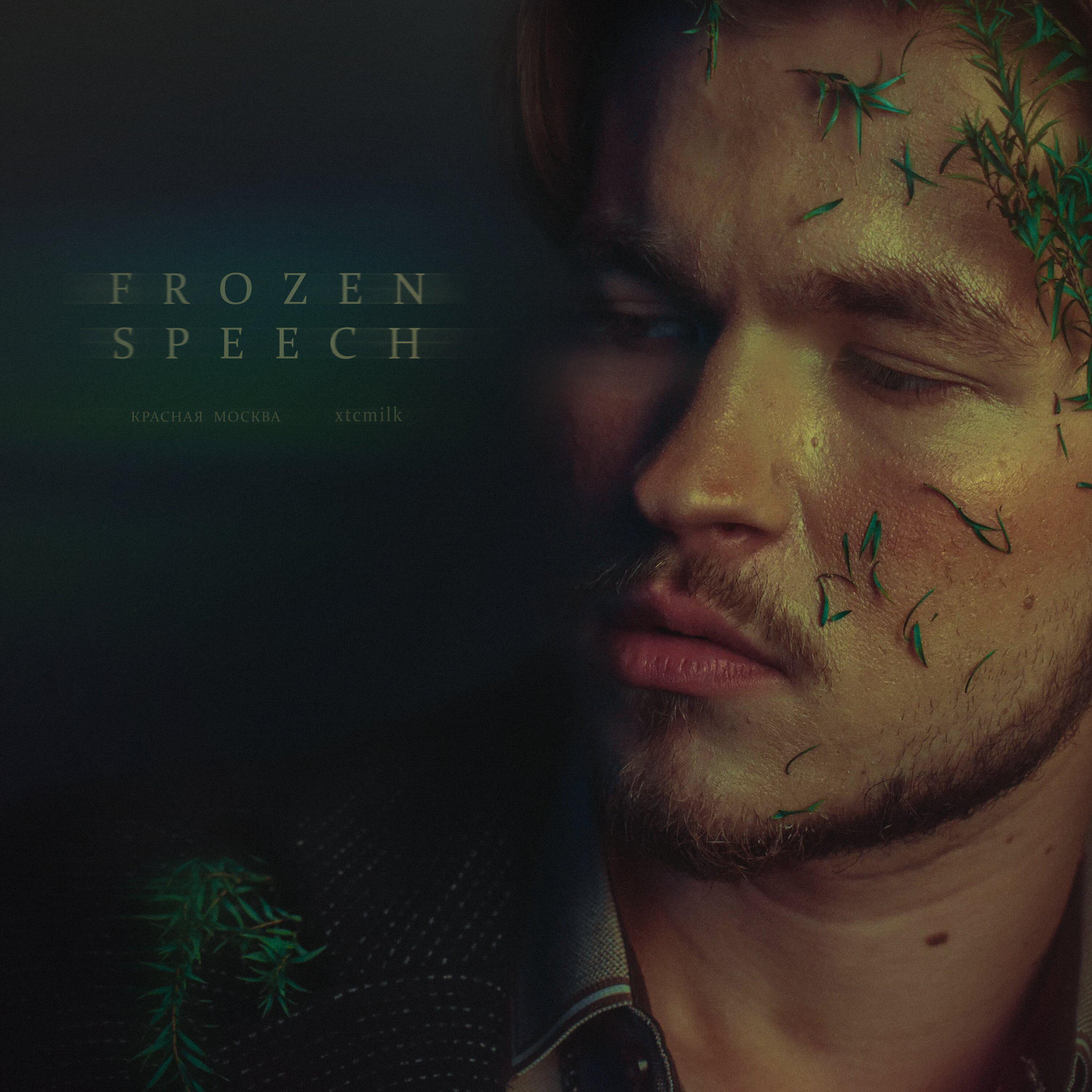 Постер альбома frozen speech