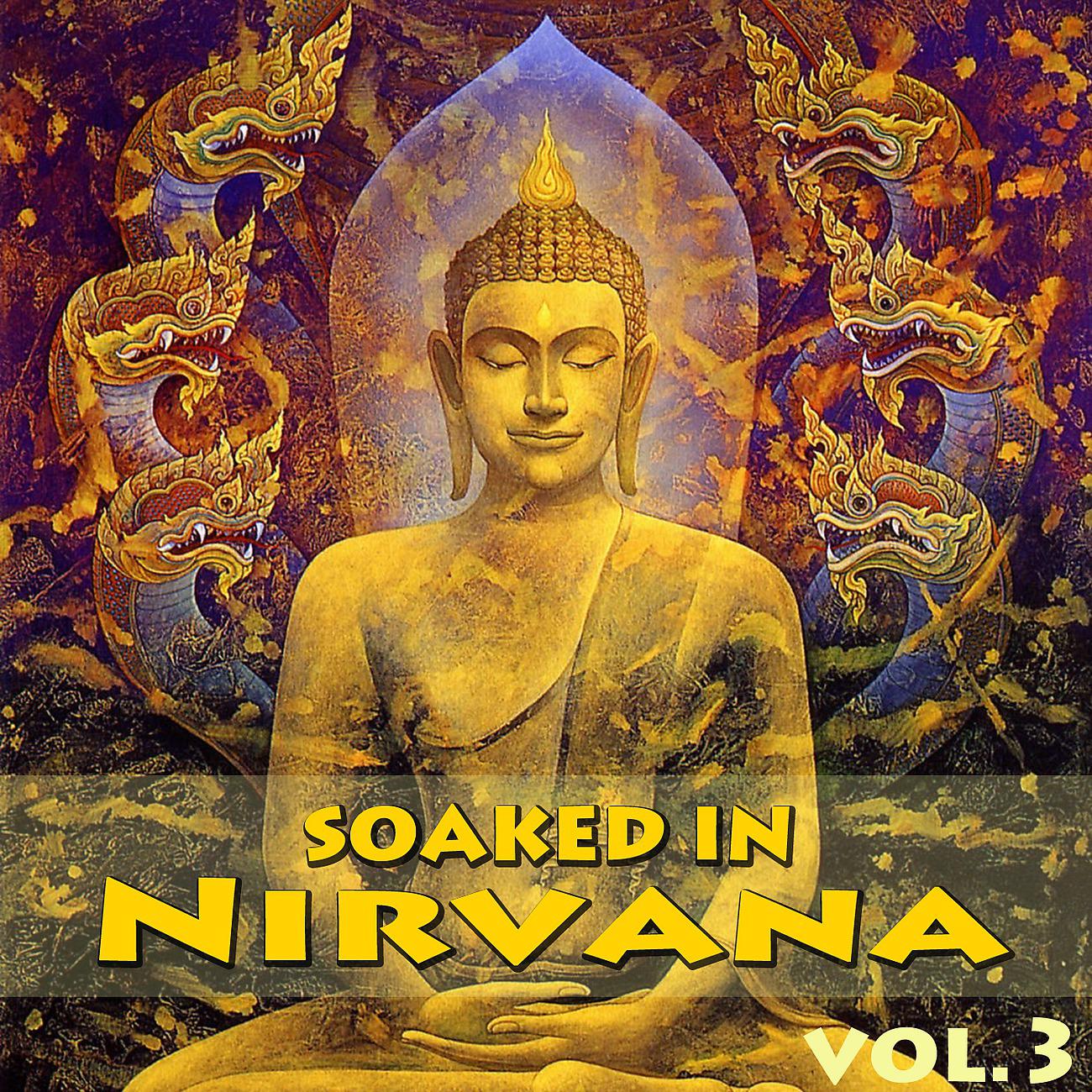 Постер альбома Soaked In Nirvana, Vol.3