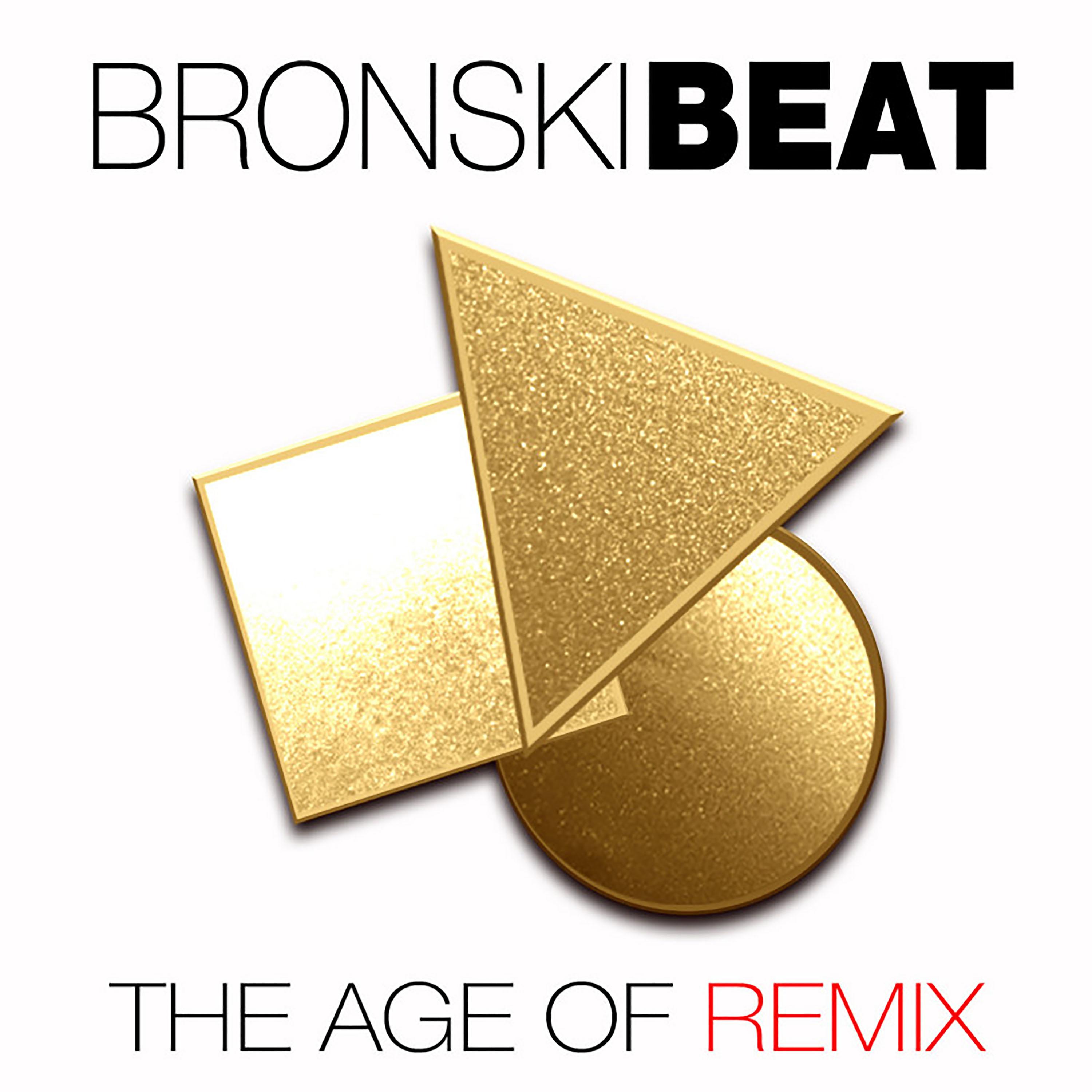Постер альбома The Age of Remix
