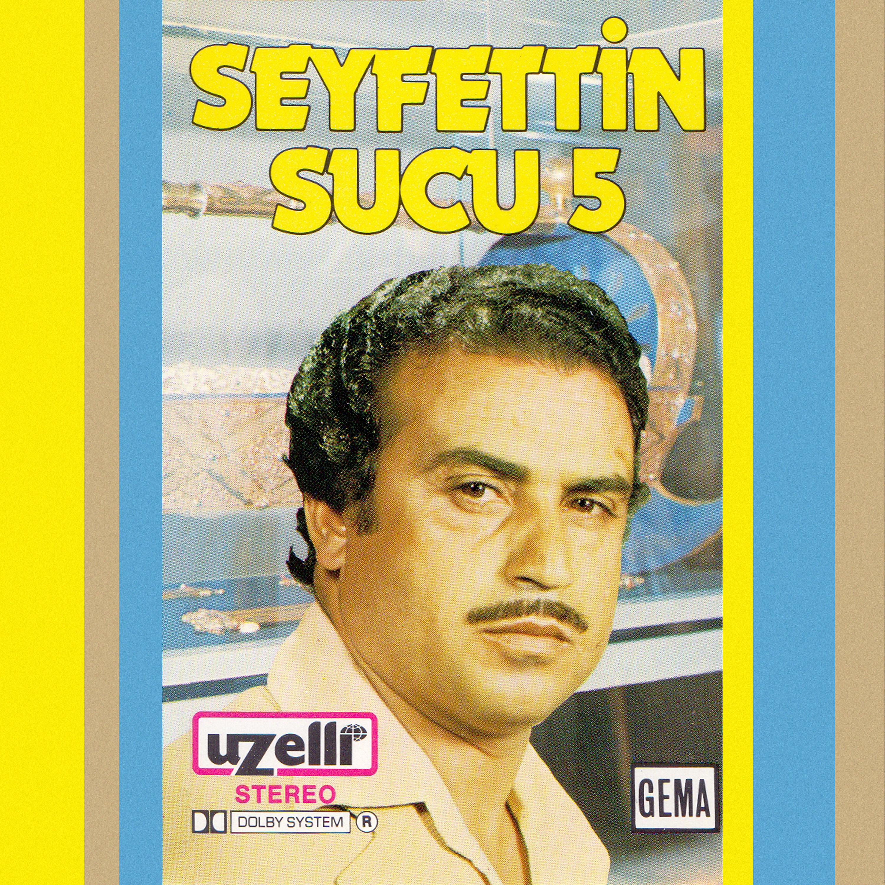 Постер альбома Seyfettin Sucu 5
