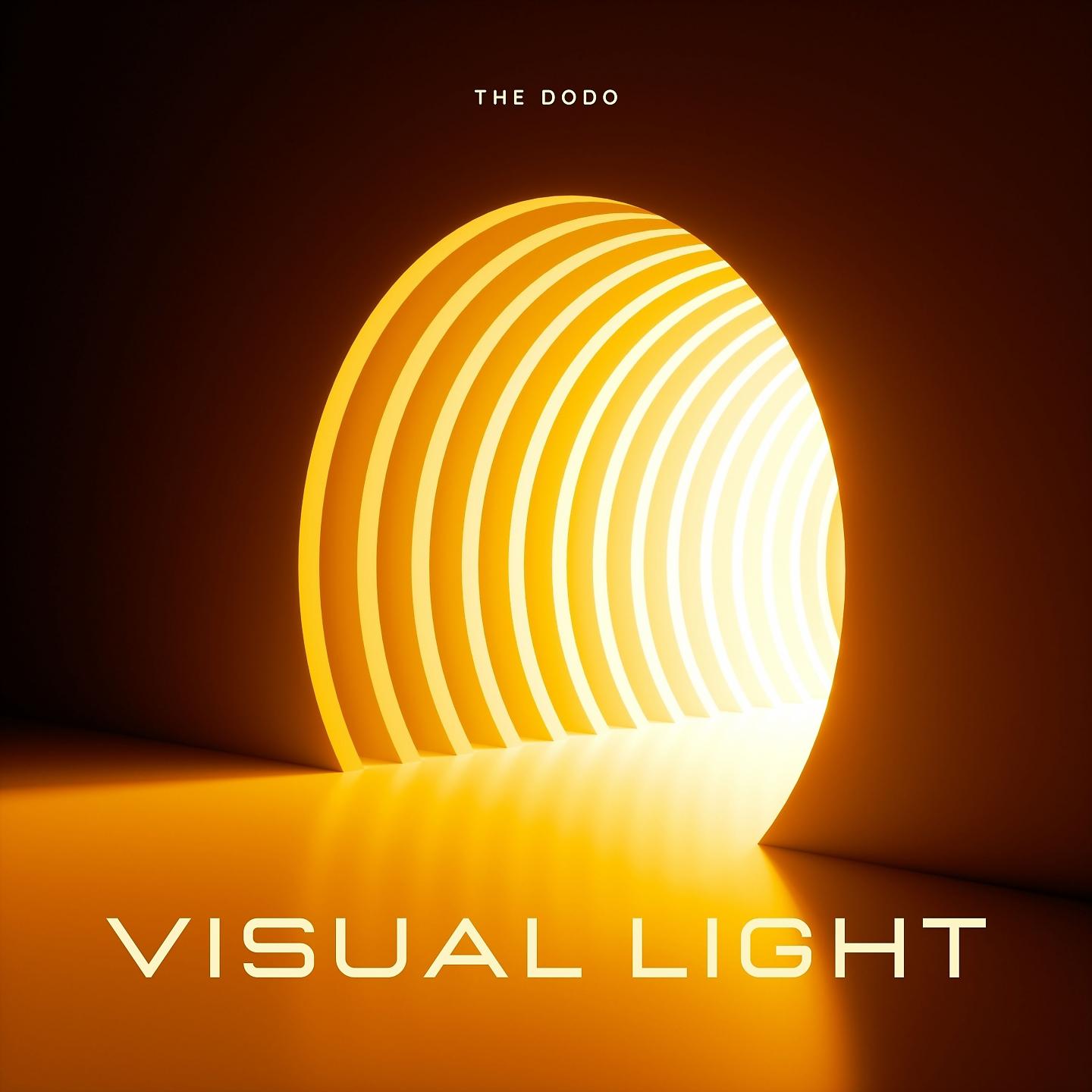 Постер альбома Visual light