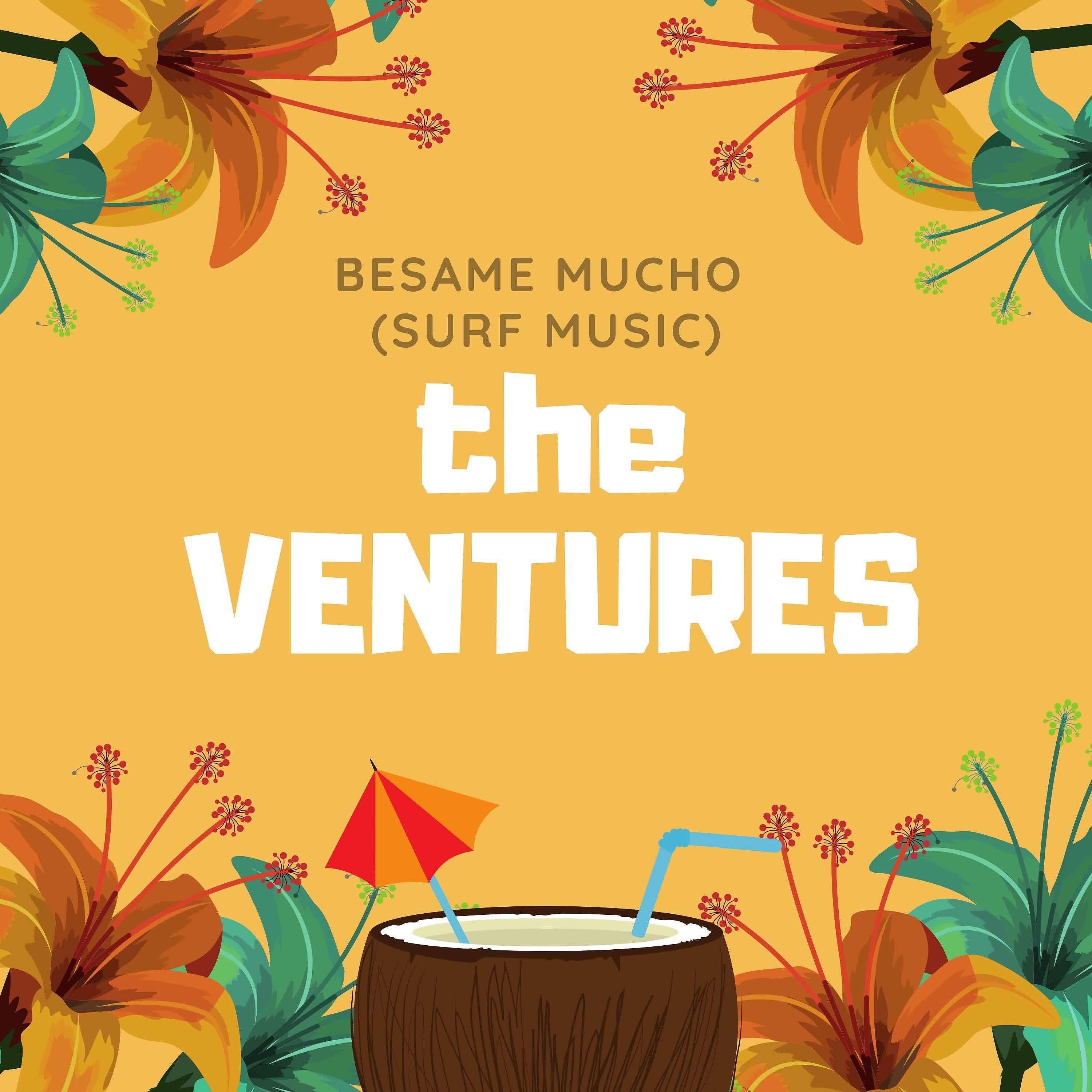 Постер альбома Besame Mucho (Surf Music)