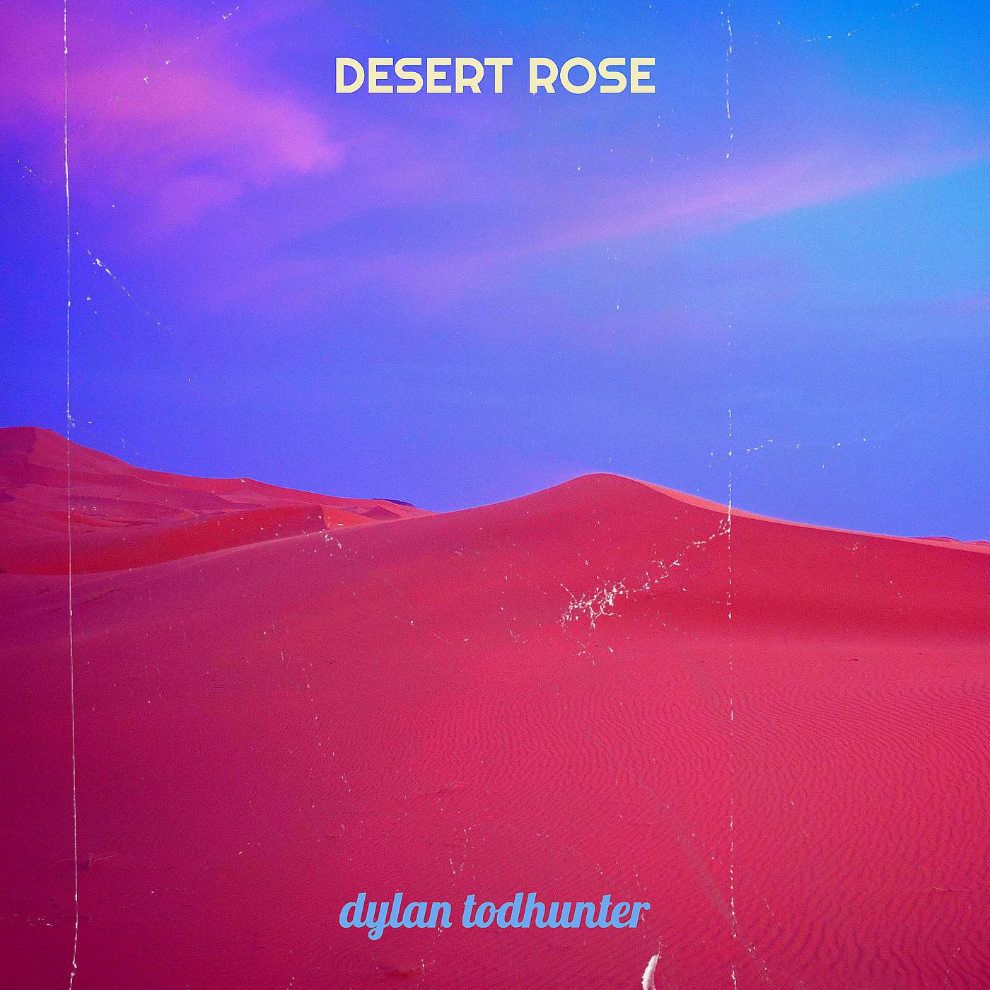 Постер альбома Desert Rose (Remix)