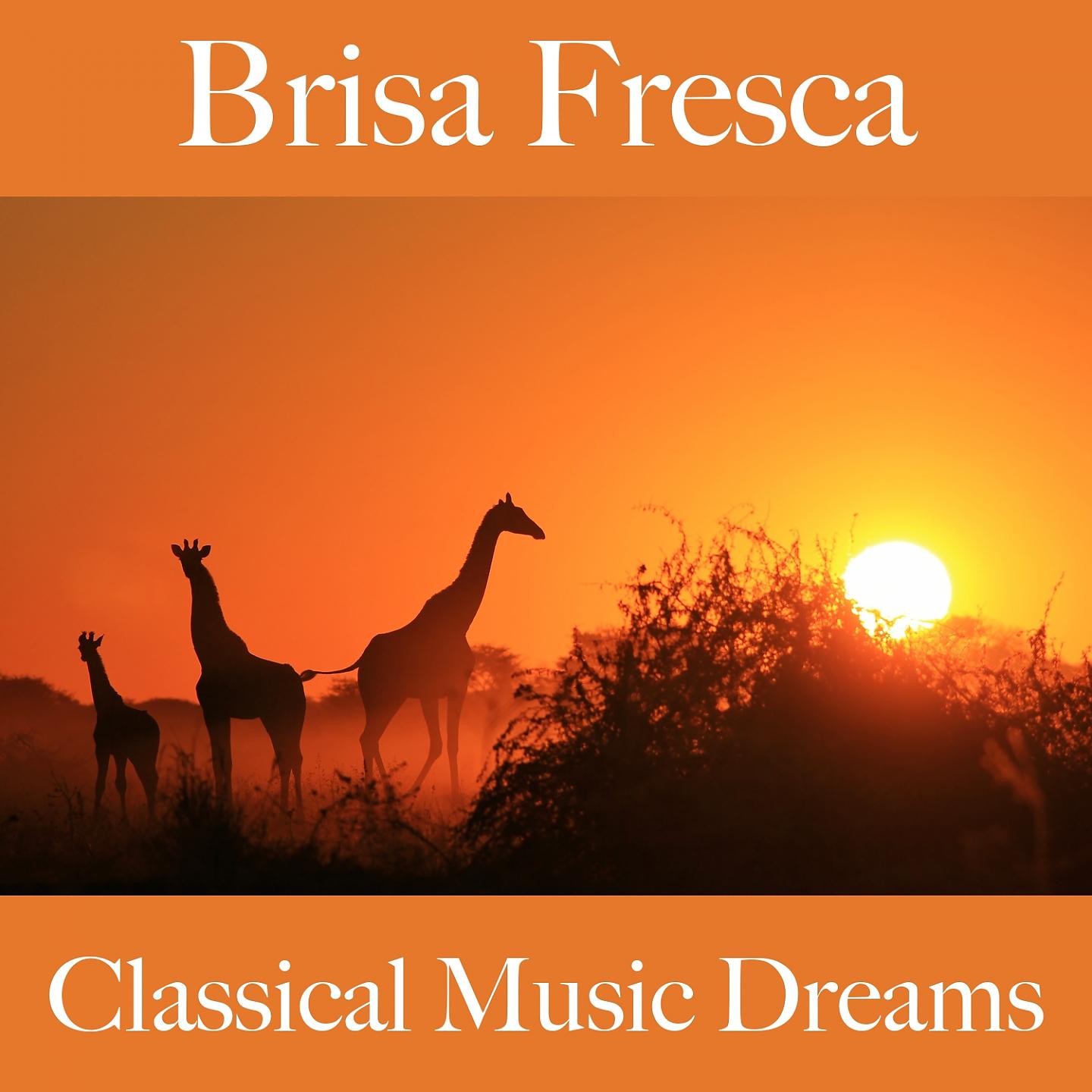 Постер альбома Brisa Fresca: Classical Music Dreams - A Melhor Música Para Relaxar