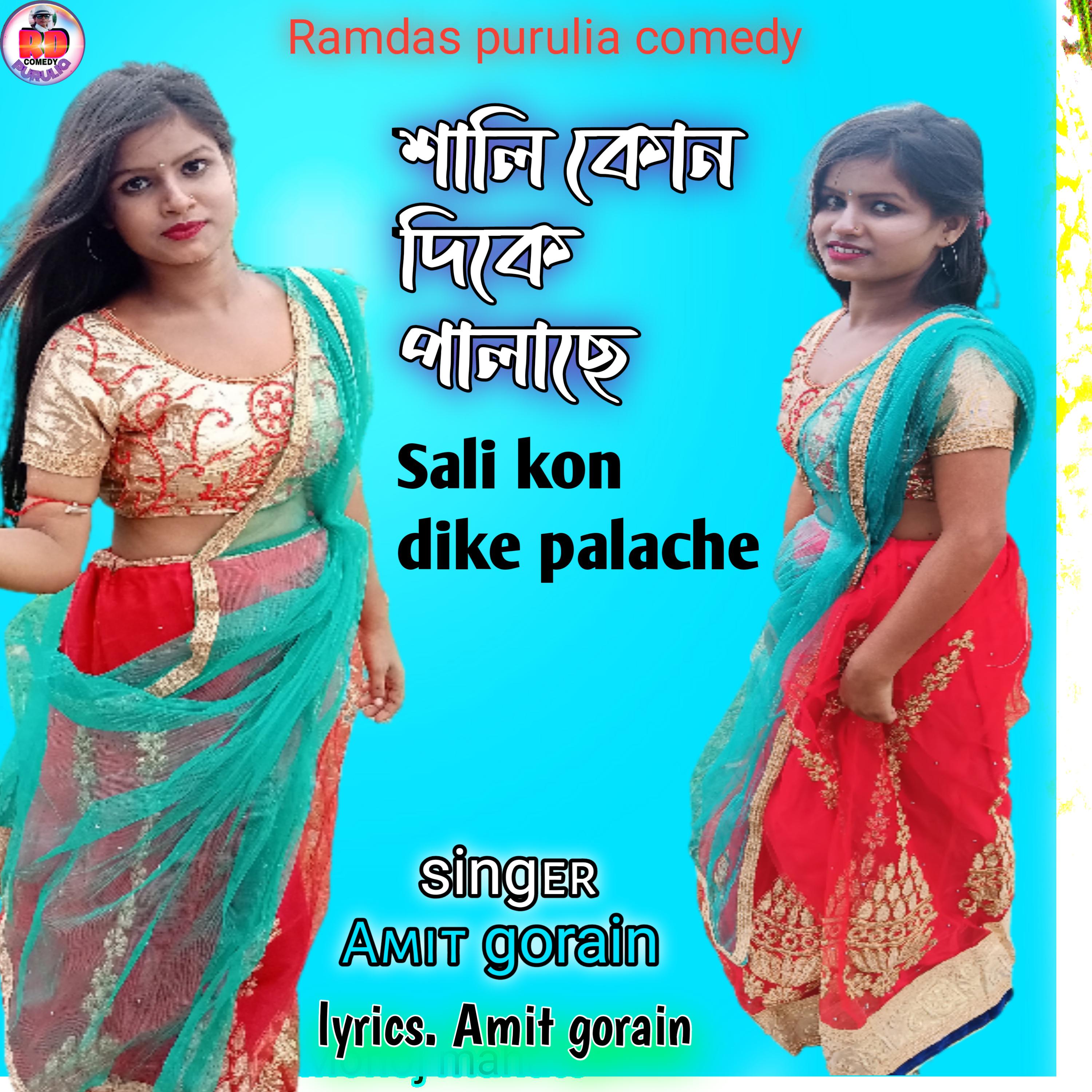 Постер альбома Sali kon dike palache