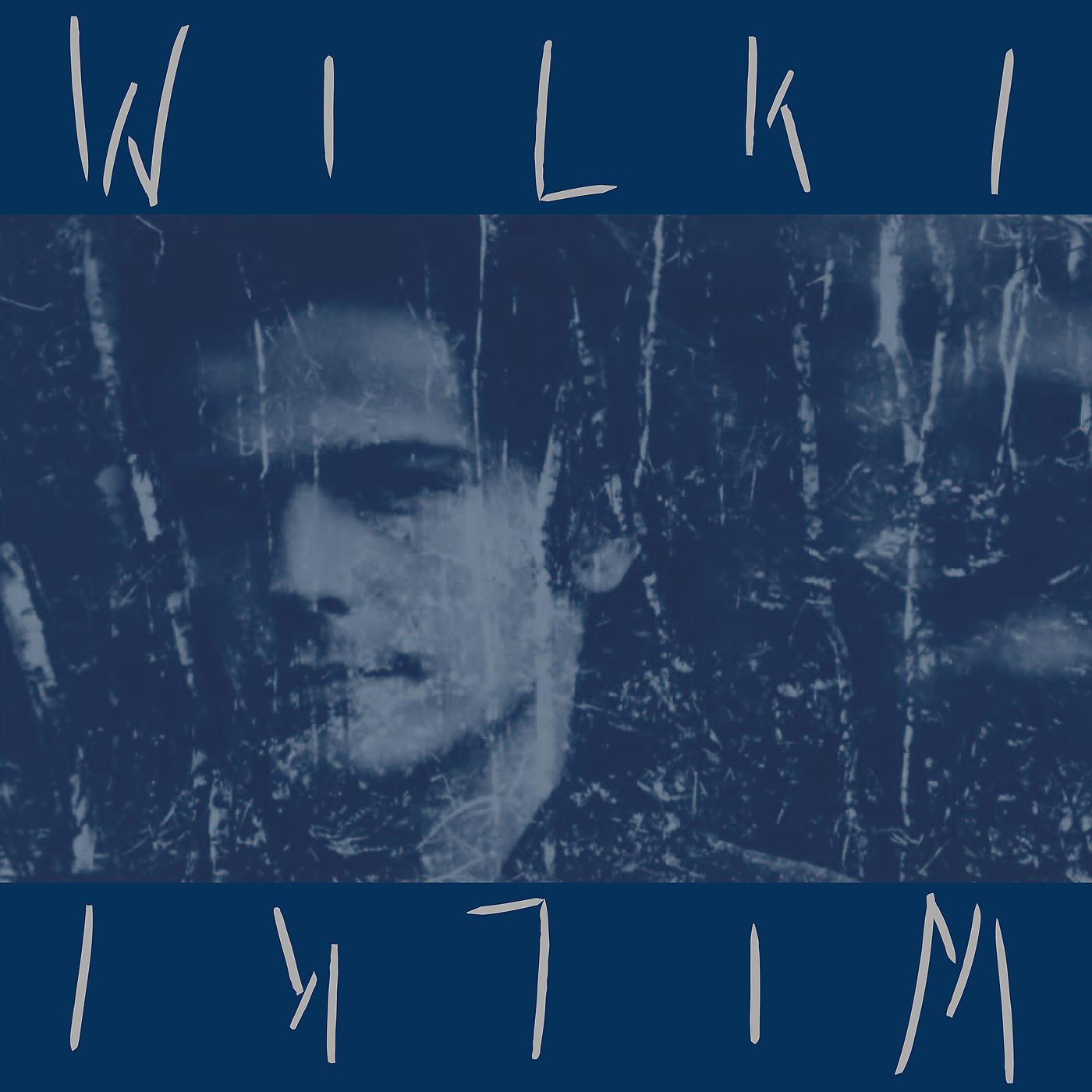 Постер альбома Wilki