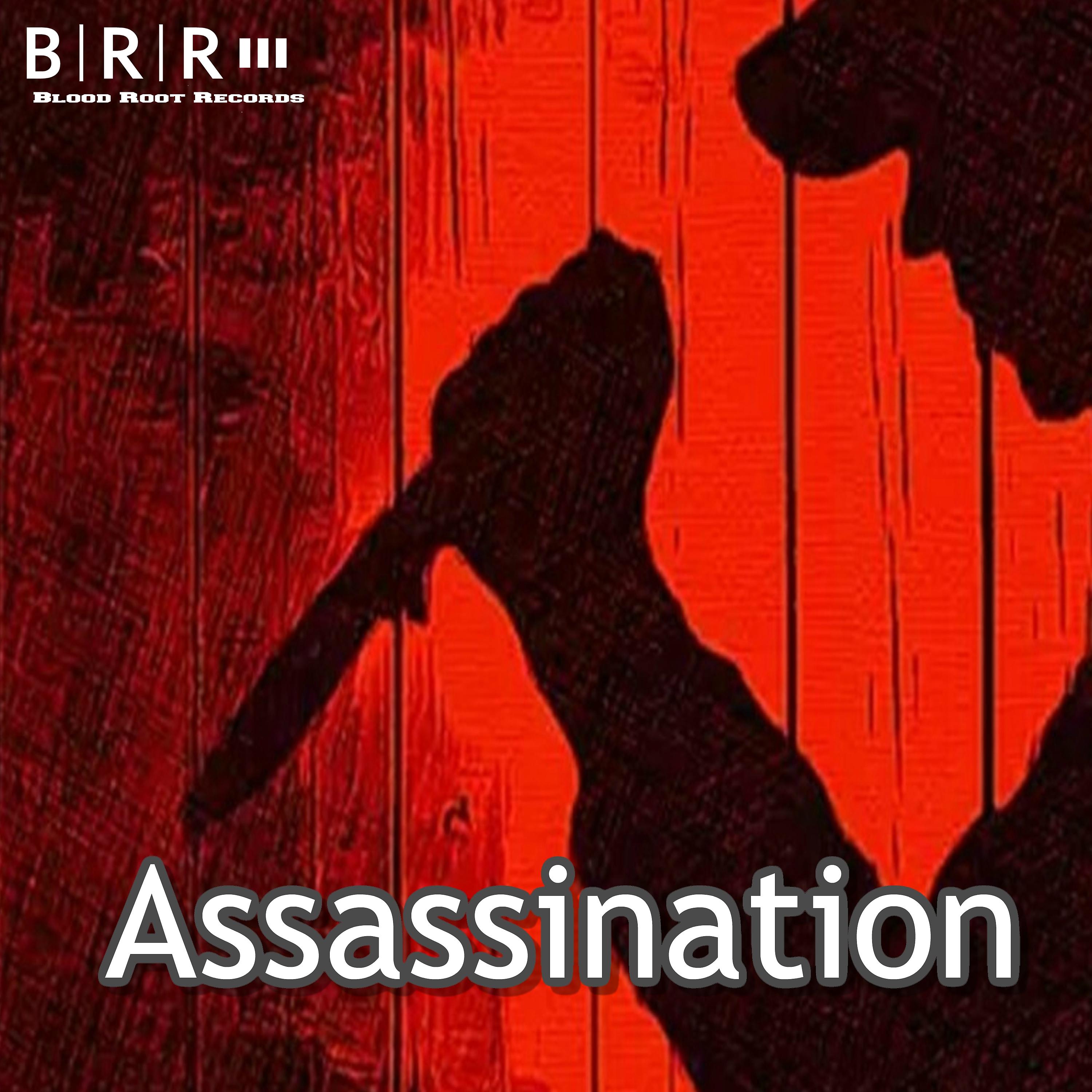 Постер альбома Assassination