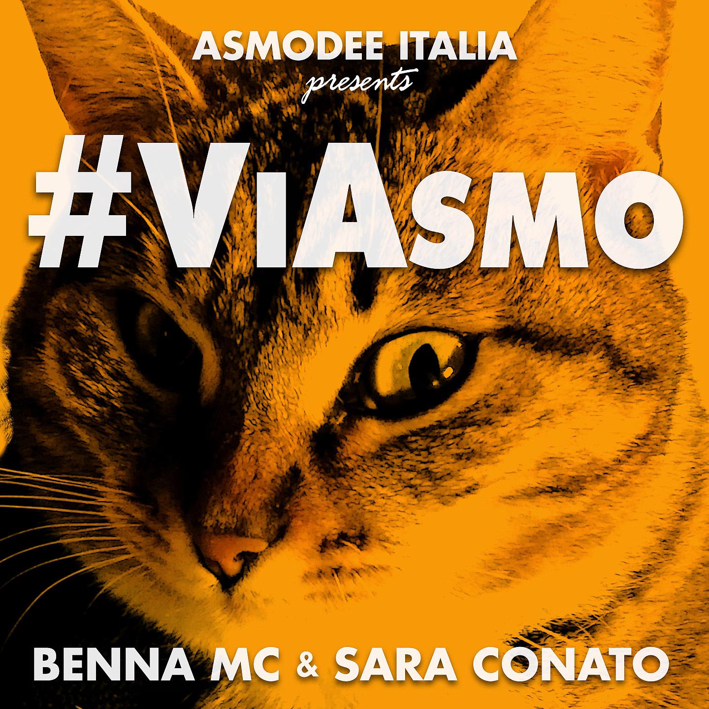 Постер альбома #ViAsmo
