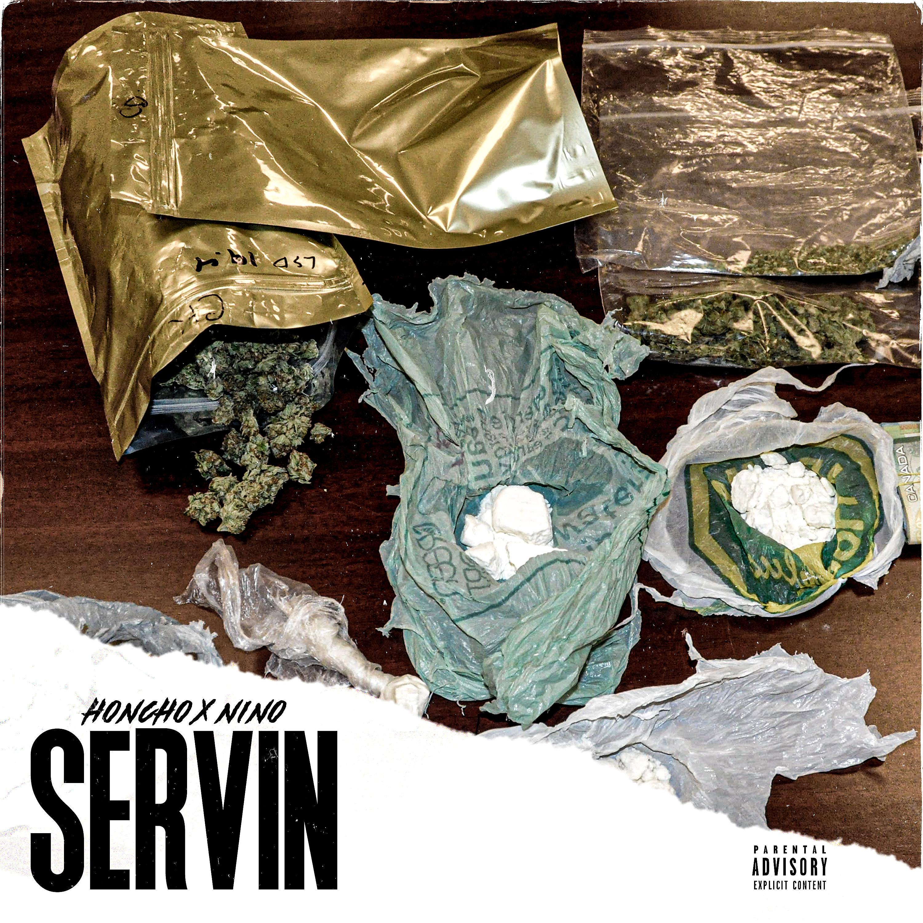 Постер альбома Servin