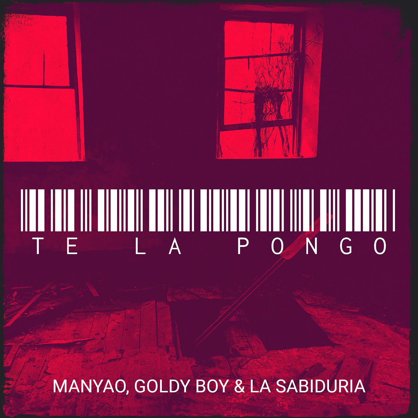 Постер альбома Te La Pongo