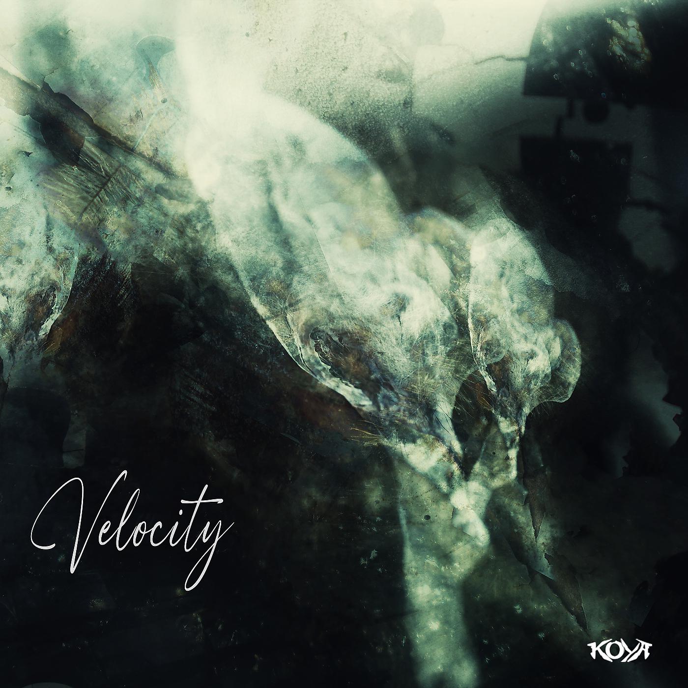 Постер альбома Velocity (Remix)