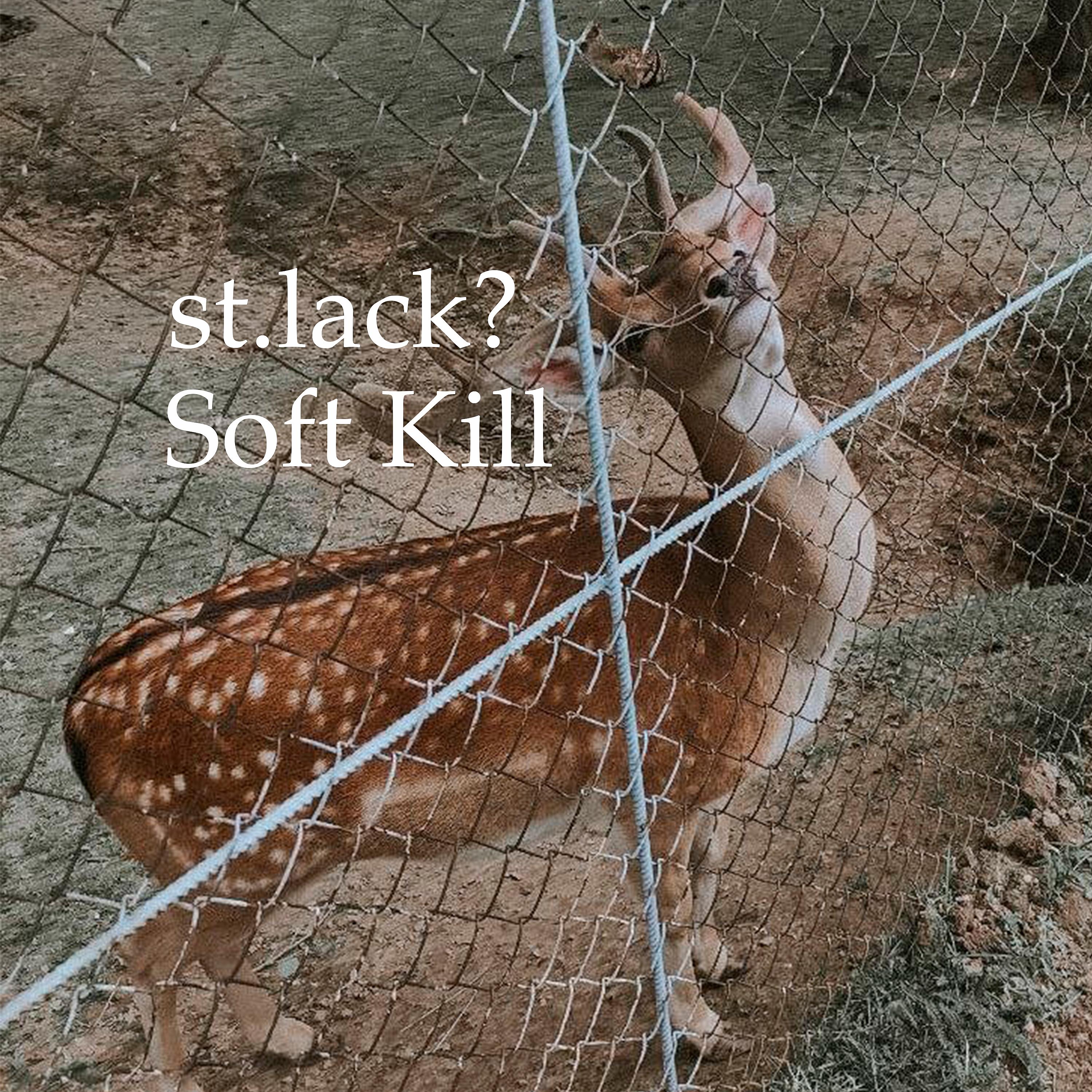 Постер альбома Soft Kill