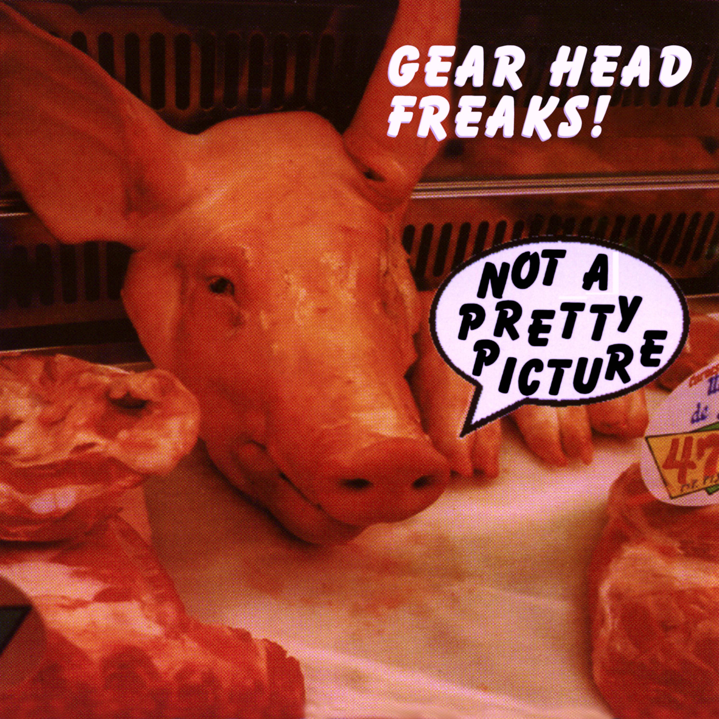 Постер альбома Gearhead Freaks Present: Not a Pretty Picture