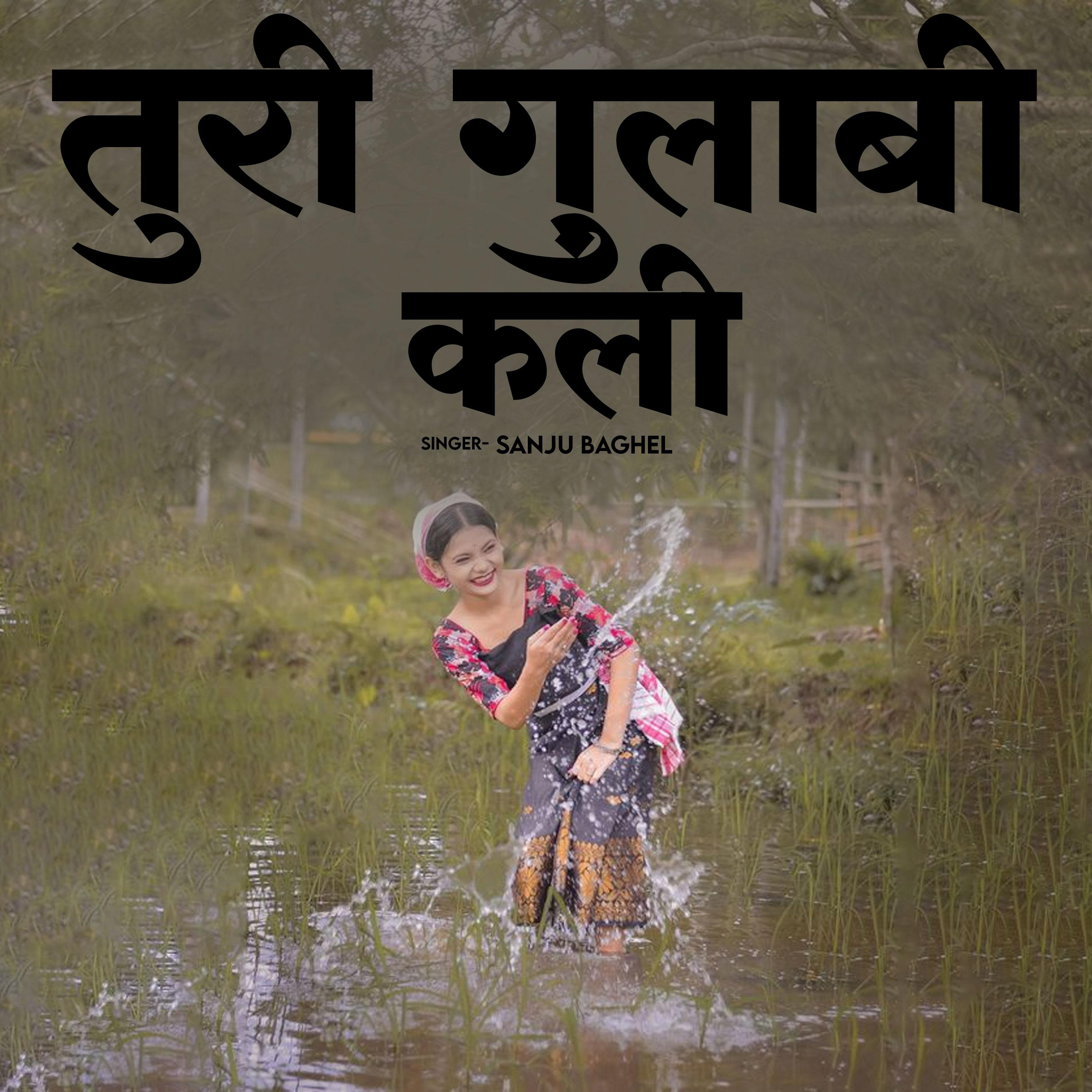Постер альбома Turi Gulabi Kali