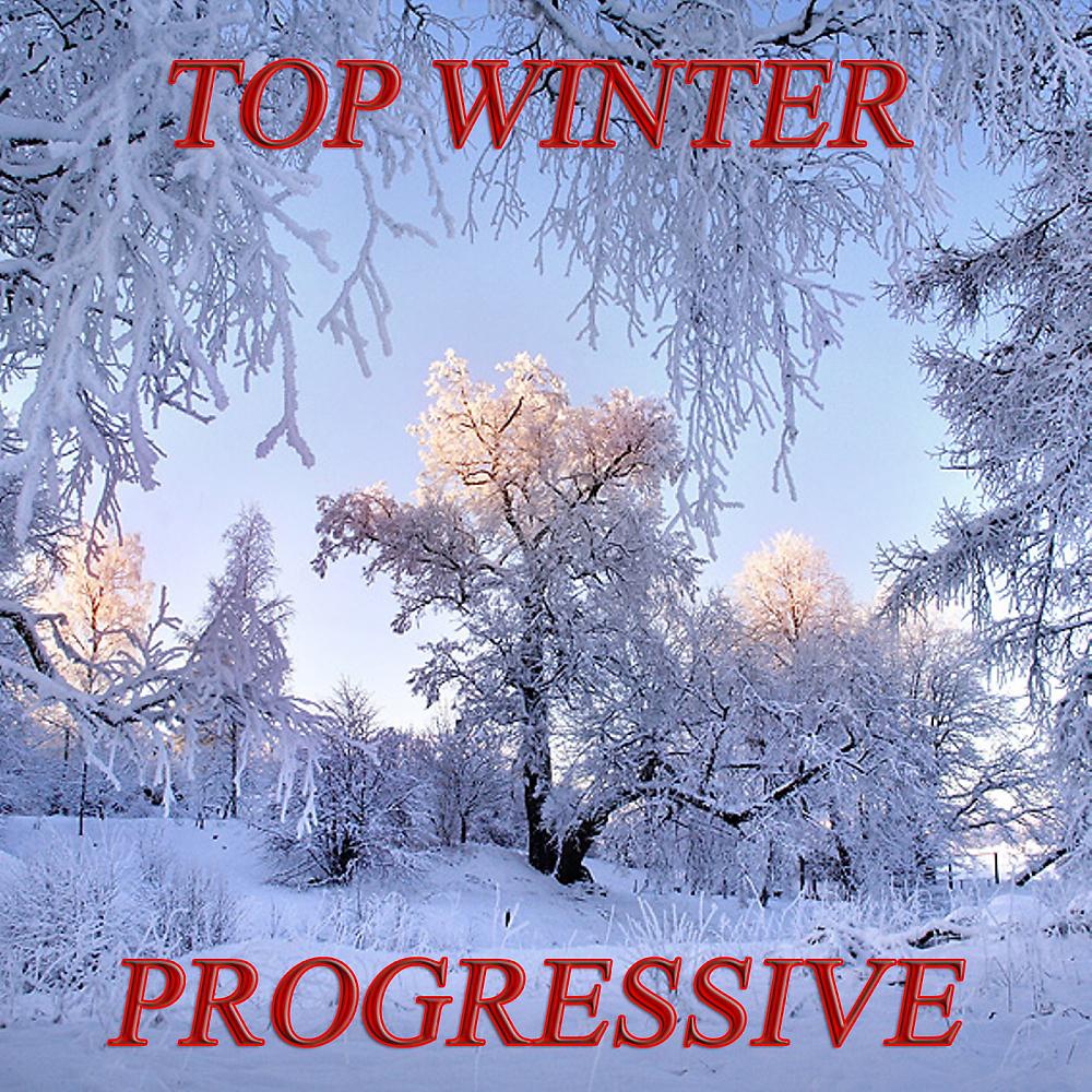 Постер альбома Top Winter Progressive