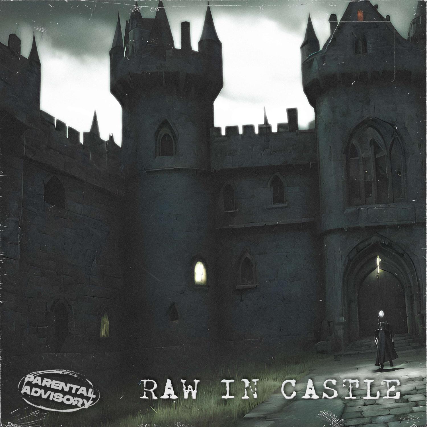 Постер альбома RAW IN CASTLE (prod. by ladaro)