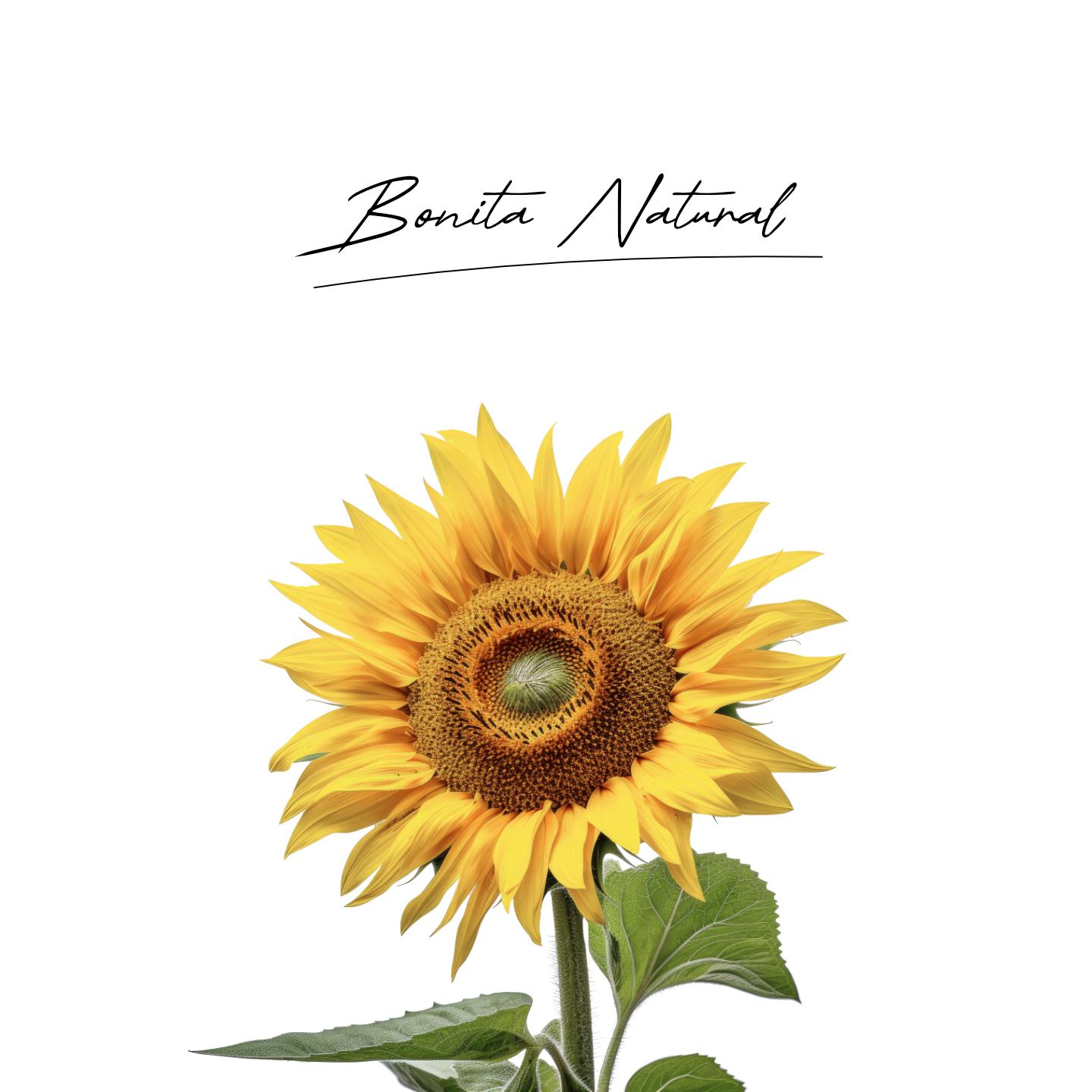 Постер альбома Bonita Natural