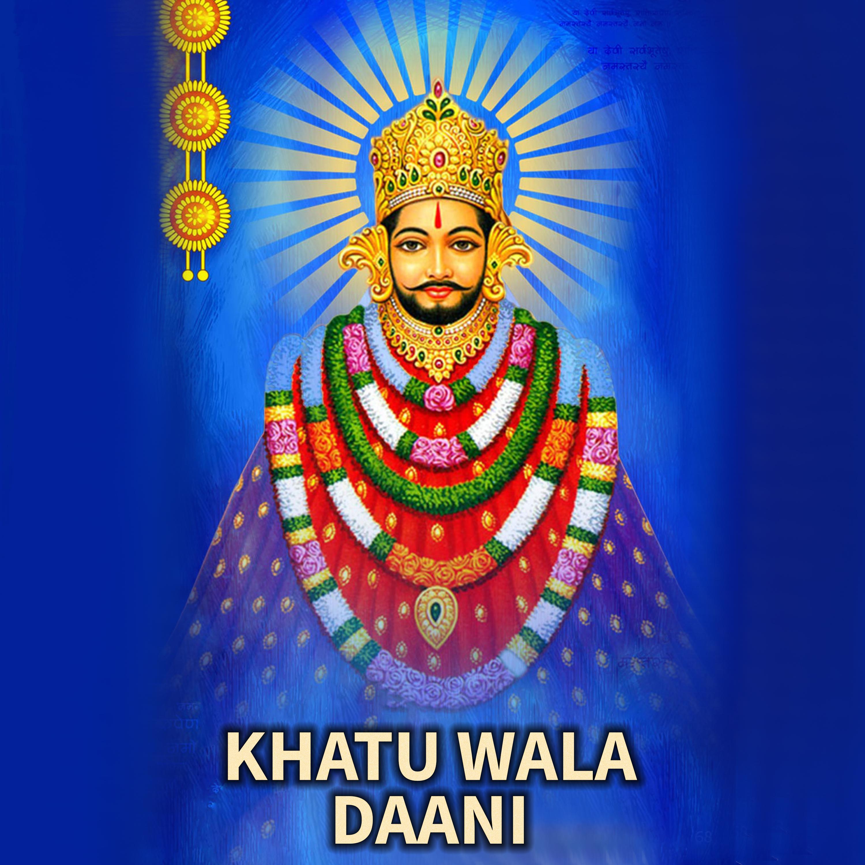 Постер альбома Khatu Wala Daani
