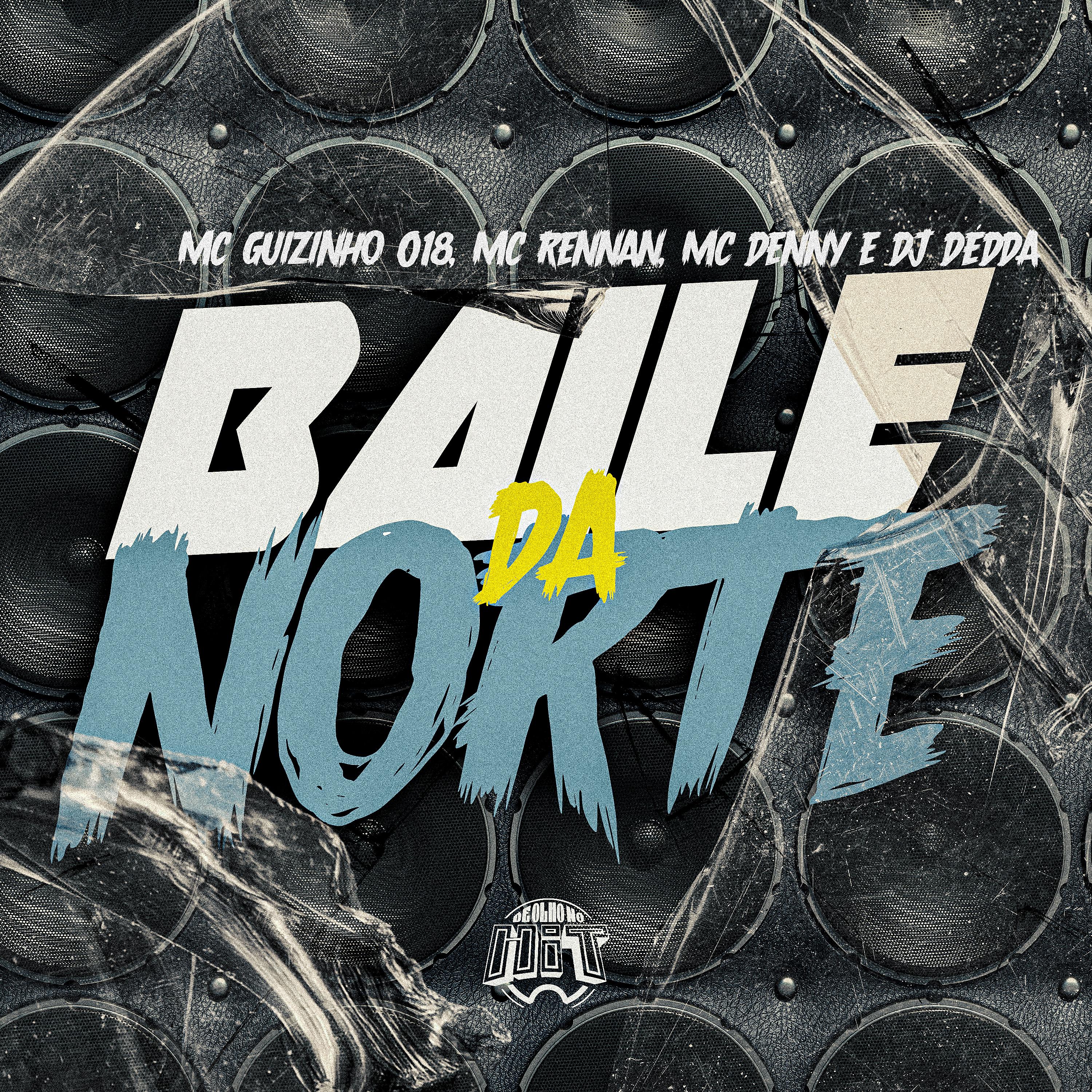 Постер альбома Baile da Norte