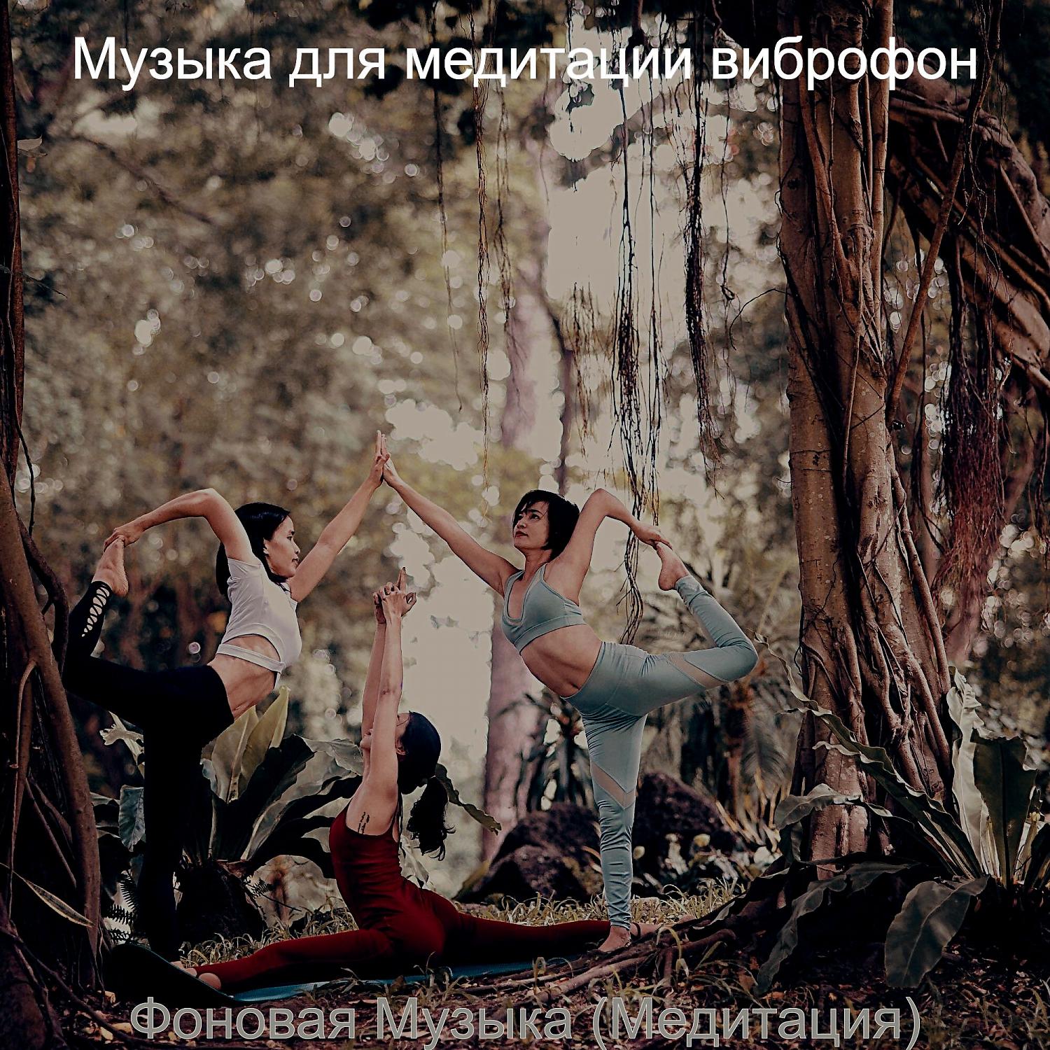 Постер альбома Фоновая Музыка (Медитация)