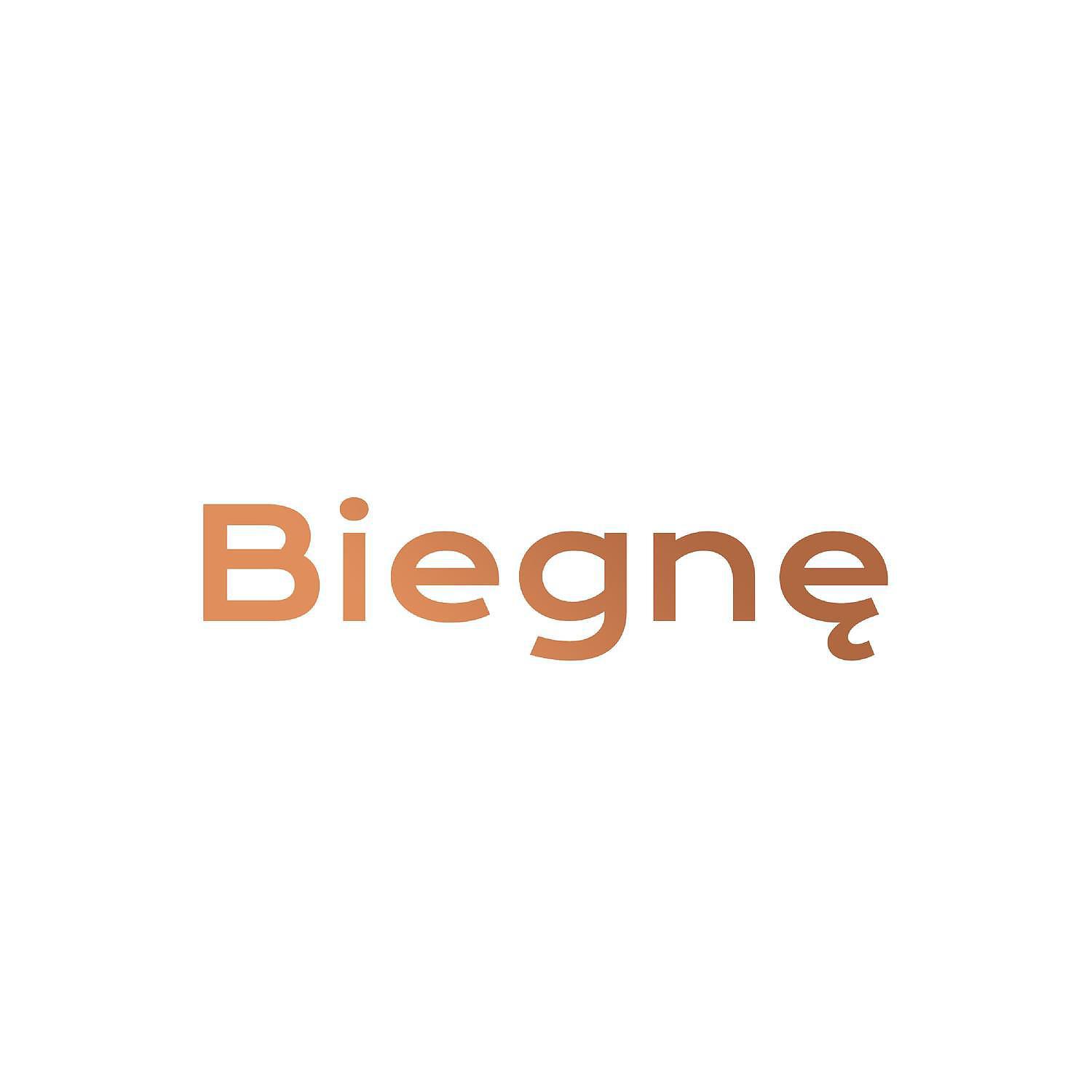 Постер альбома Biegne