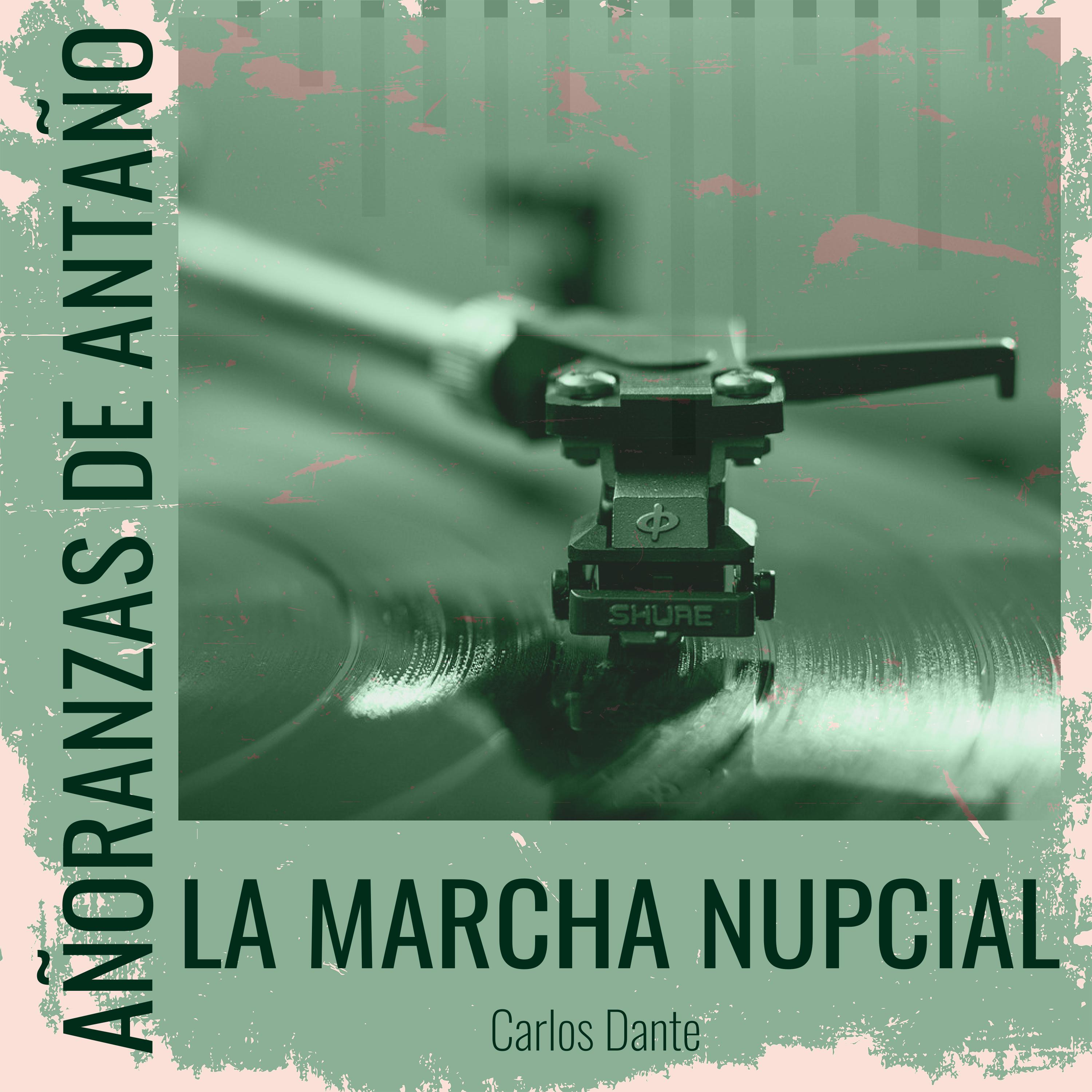 Постер альбома Añoranzas de Antaño - La Marcha Nupcial