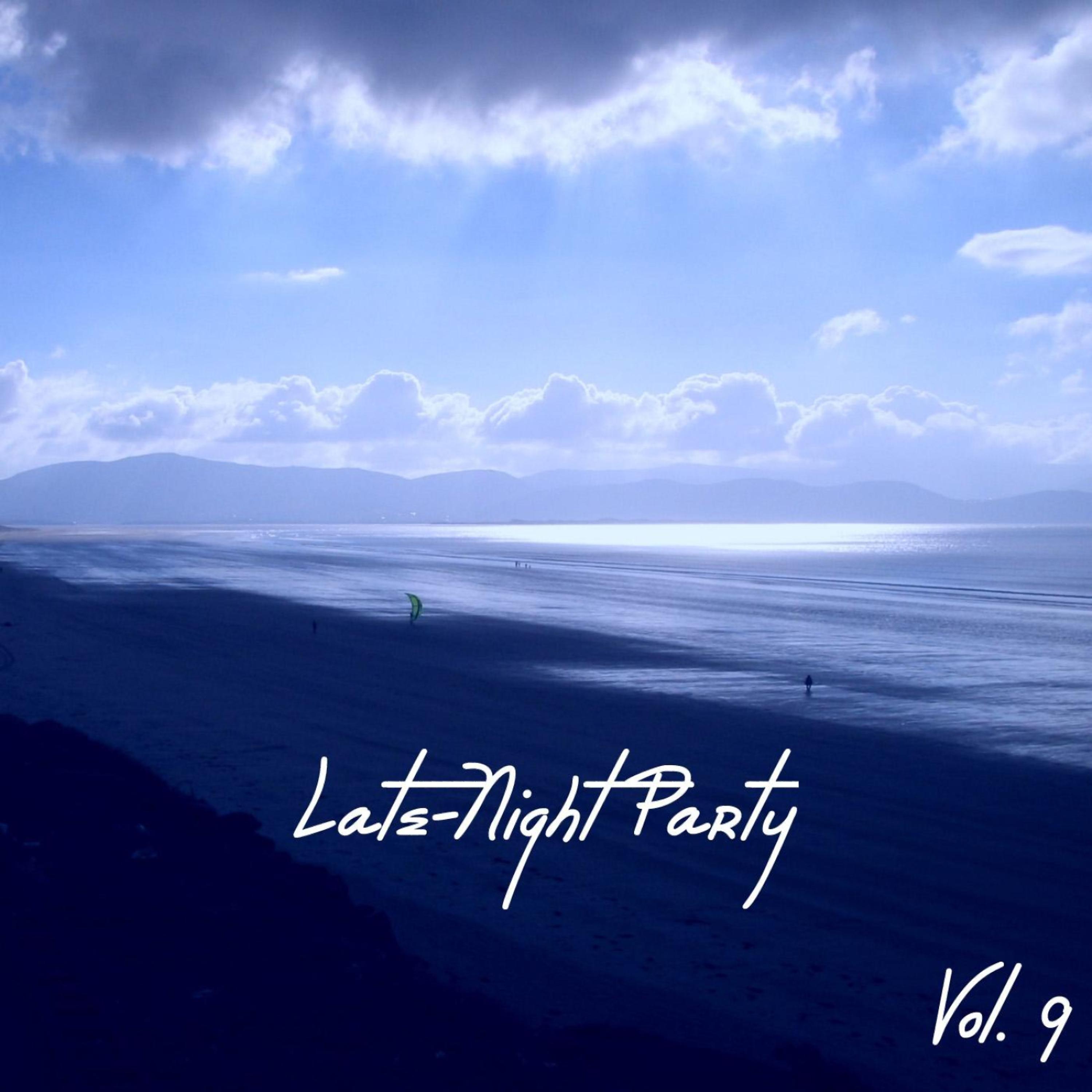 Постер альбома Late - Night Party Vol. 9