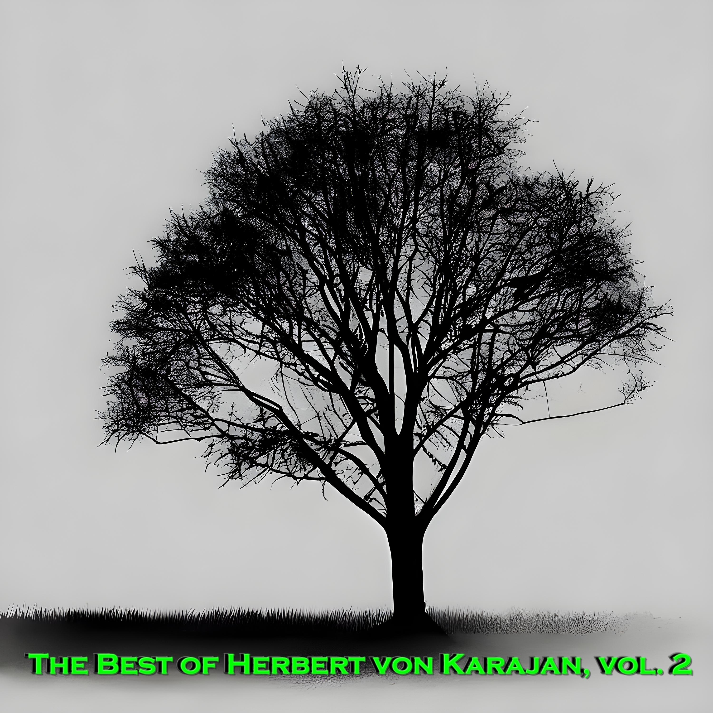 Постер альбома The Best of Herbert von Karajan, Vol. 2