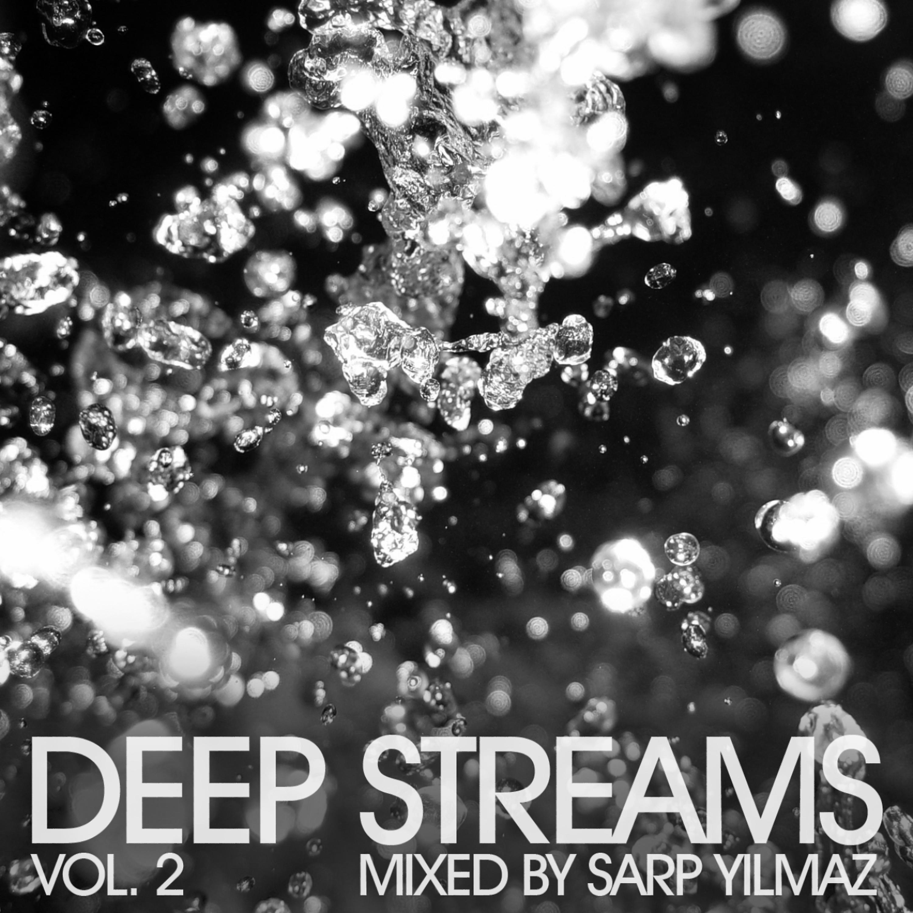 Постер альбома Deep Streams Vol.2